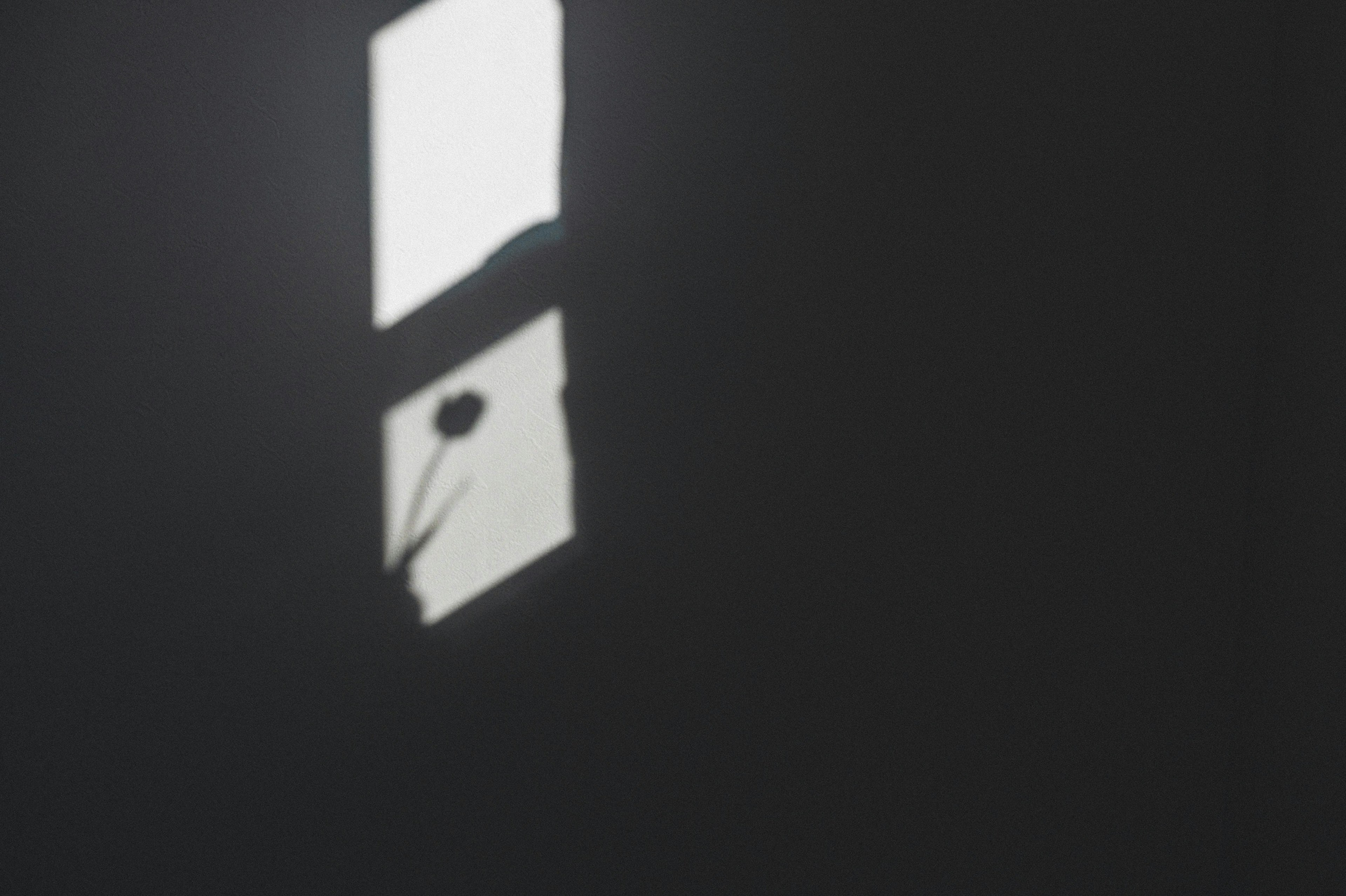 Silhouette of a flower near a wall with shadows from a window