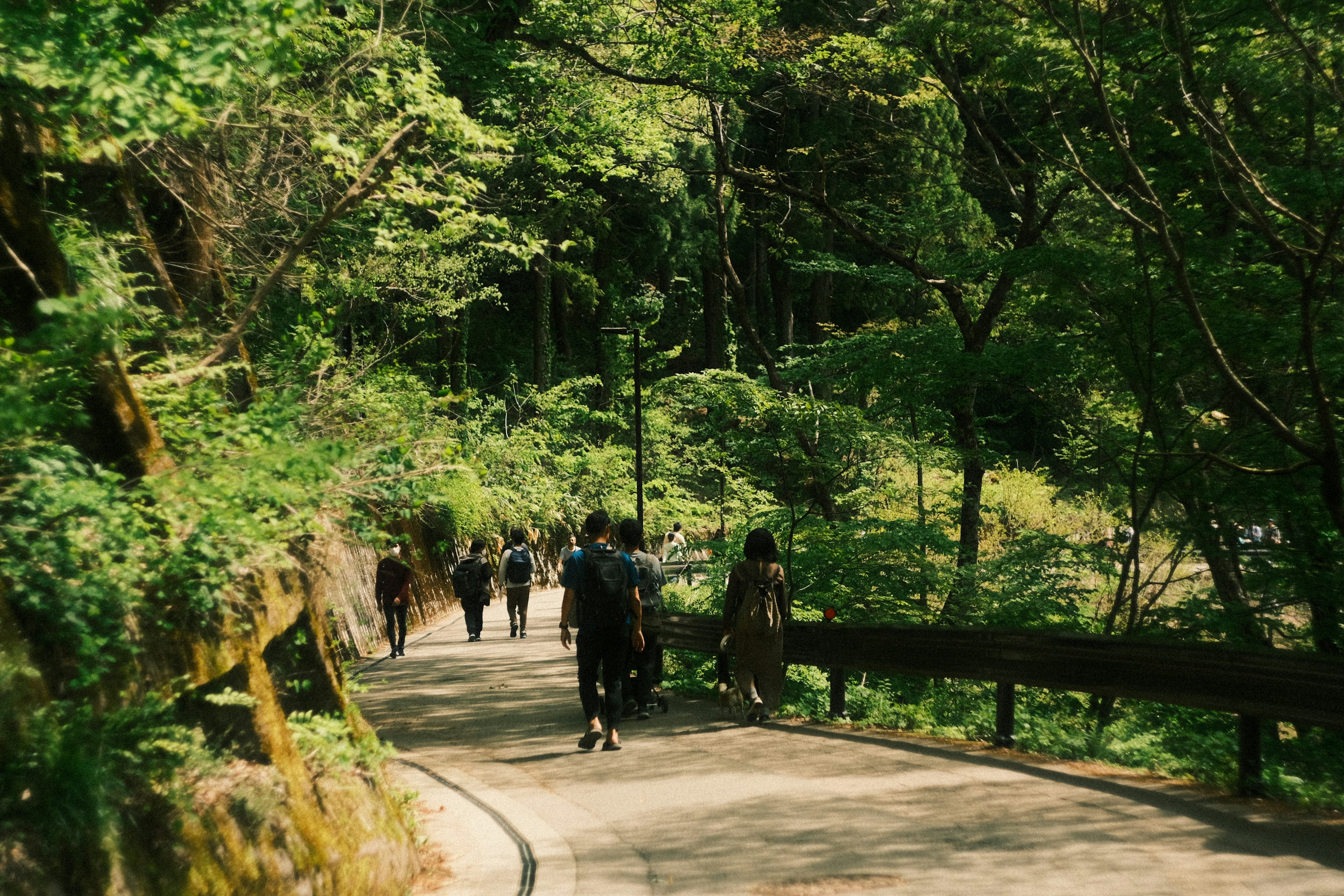 People walking along a winding path surrounded by lush greenery