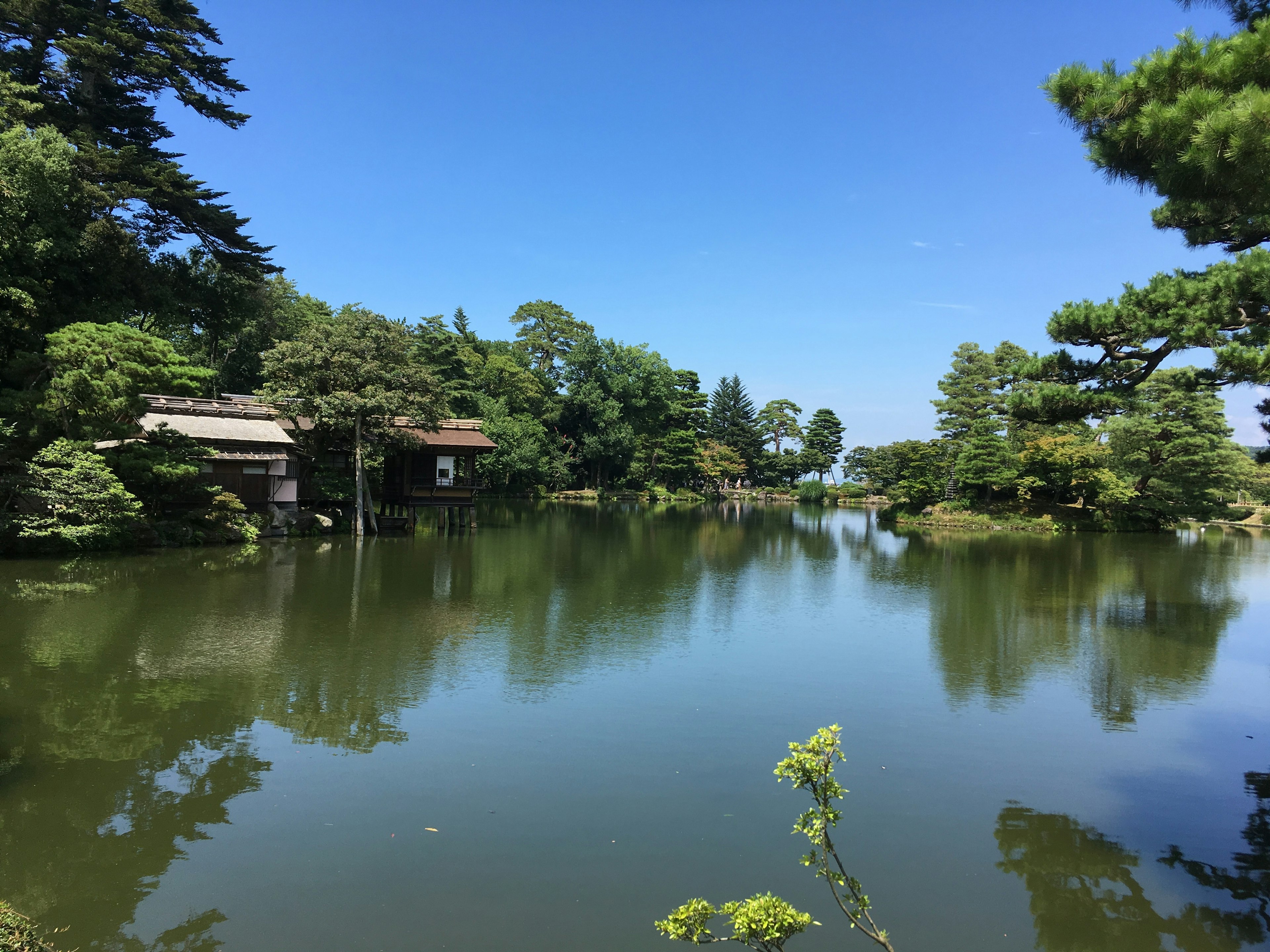 静かな池と周囲の緑に囲まれた日本の伝統的な建物