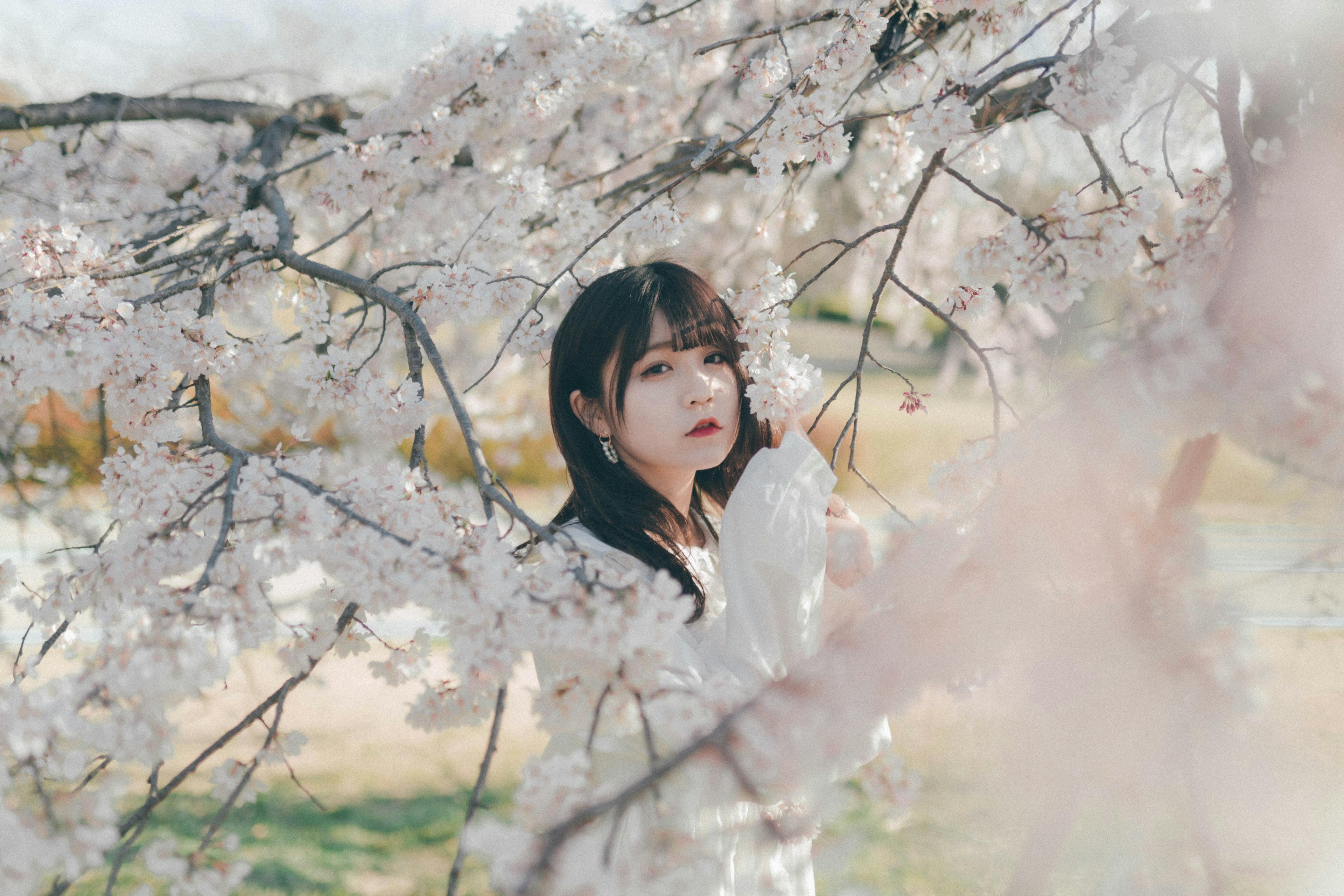 桜の花の間から見える女性のポートレート