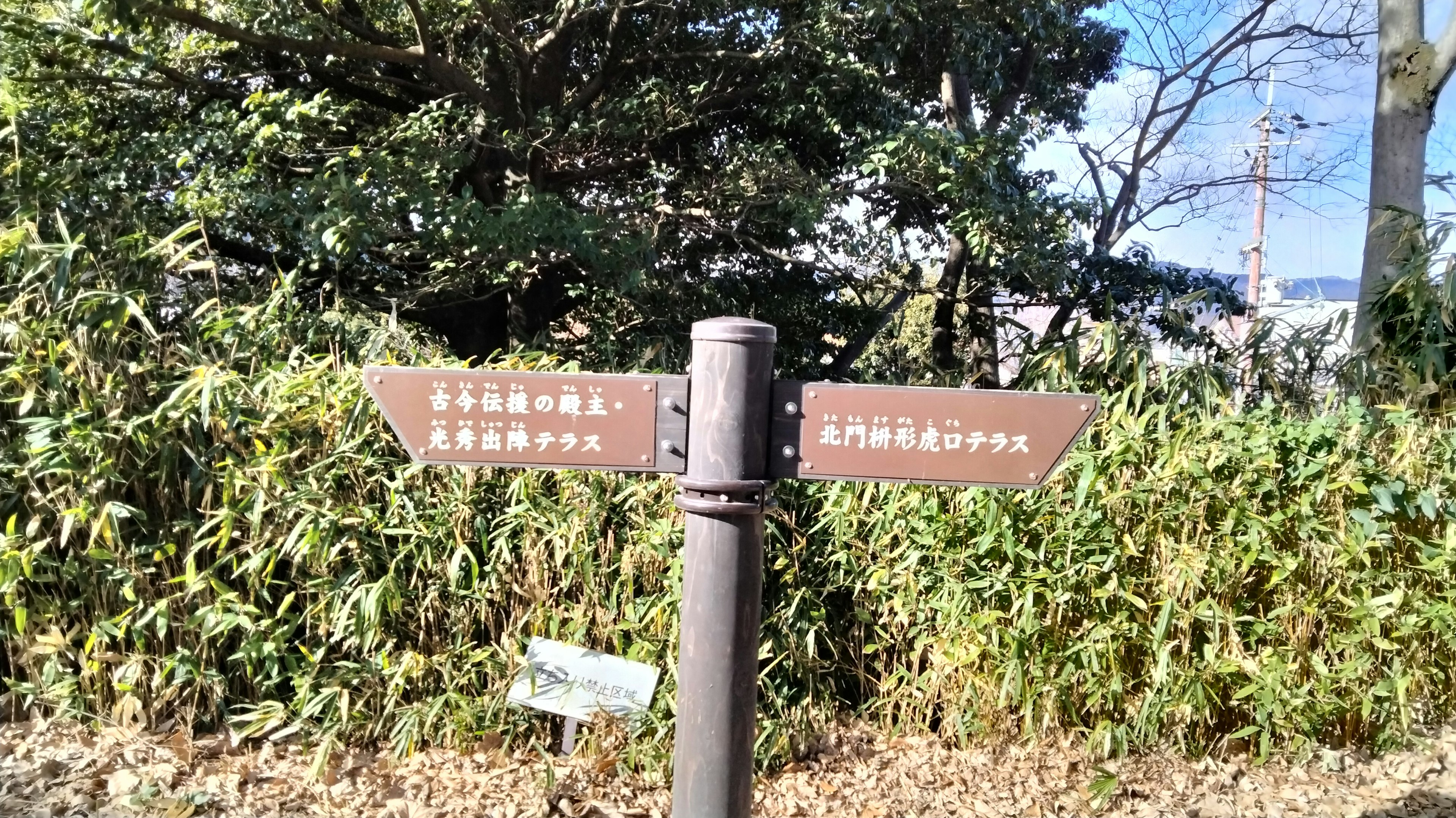 Directional signpost with two arrows surrounded by greenery