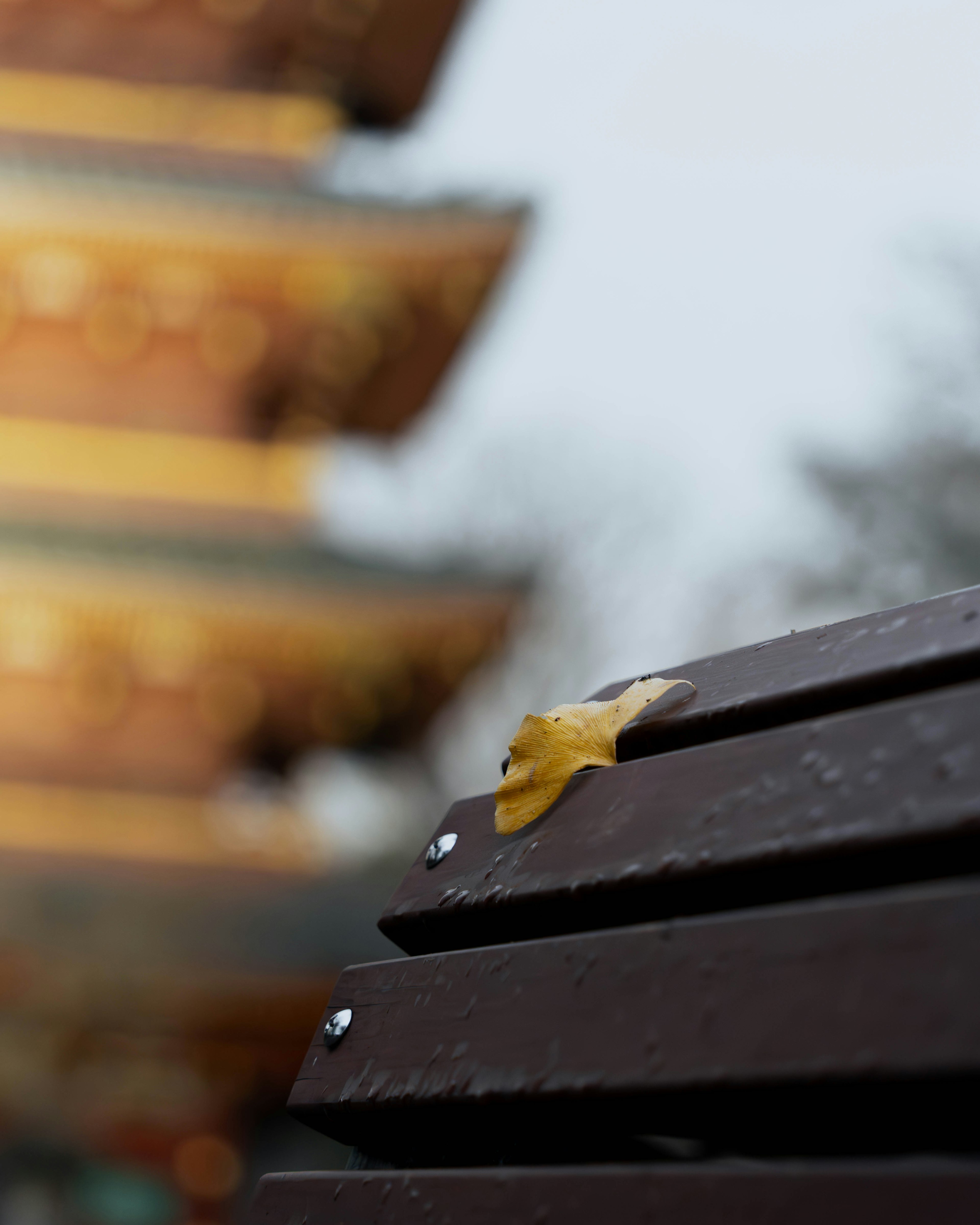 濡れたベンチと背景の五重塔のぼやけた姿