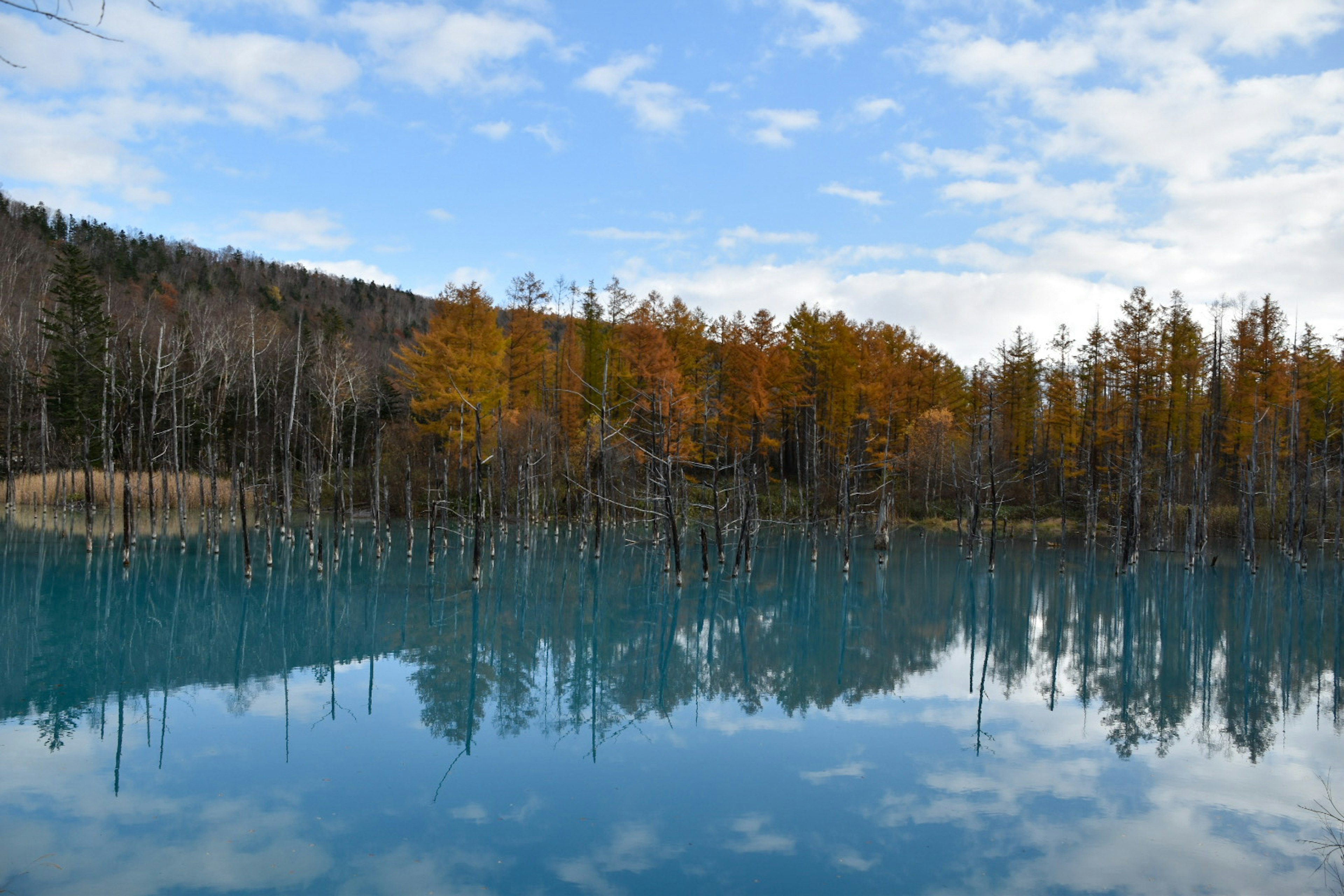 Malersicher Blick auf einen blauen See mit reflektierenden Herbstbäumen