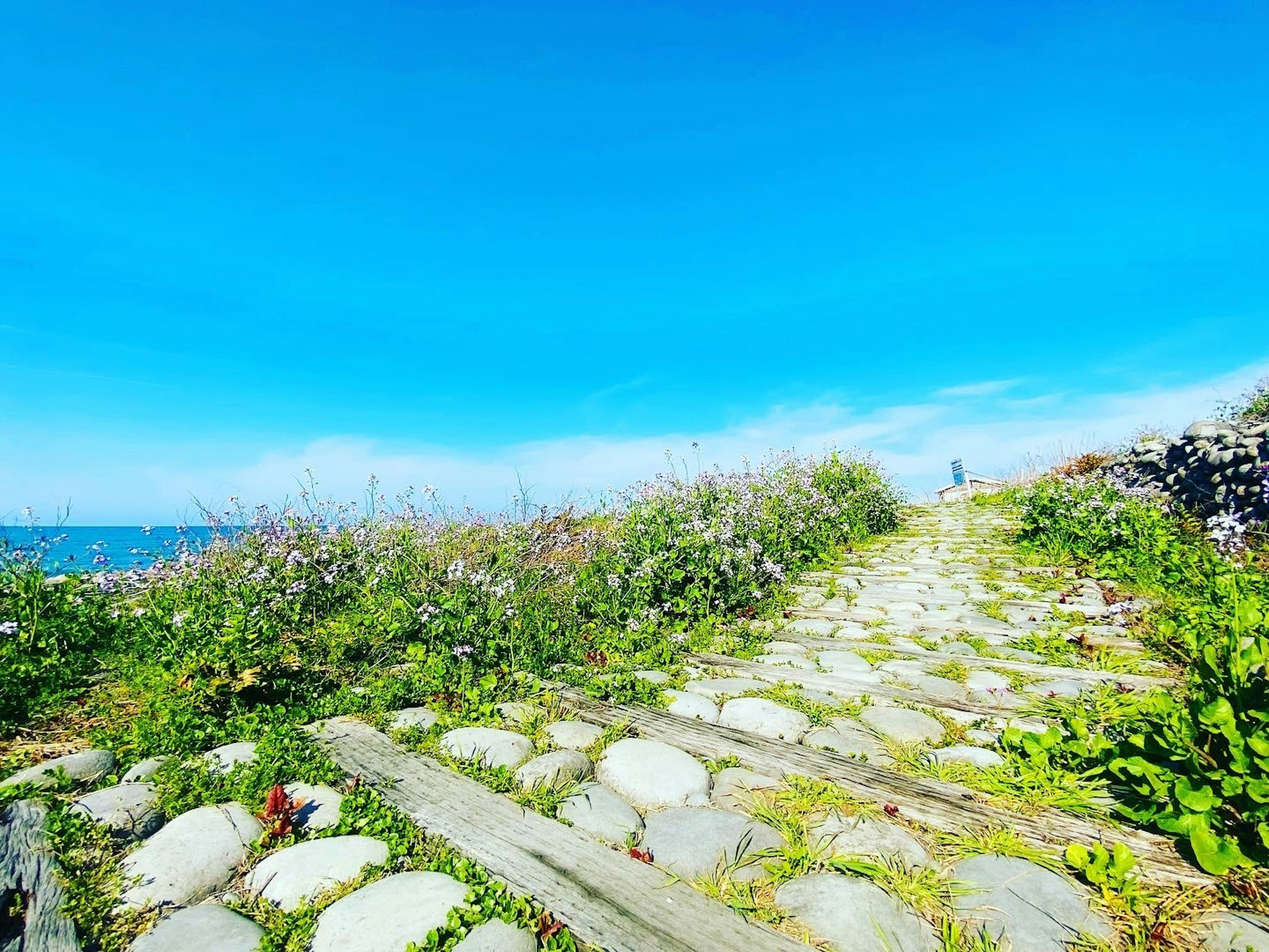 A cobblestone path surrounded by greenery and blue sky