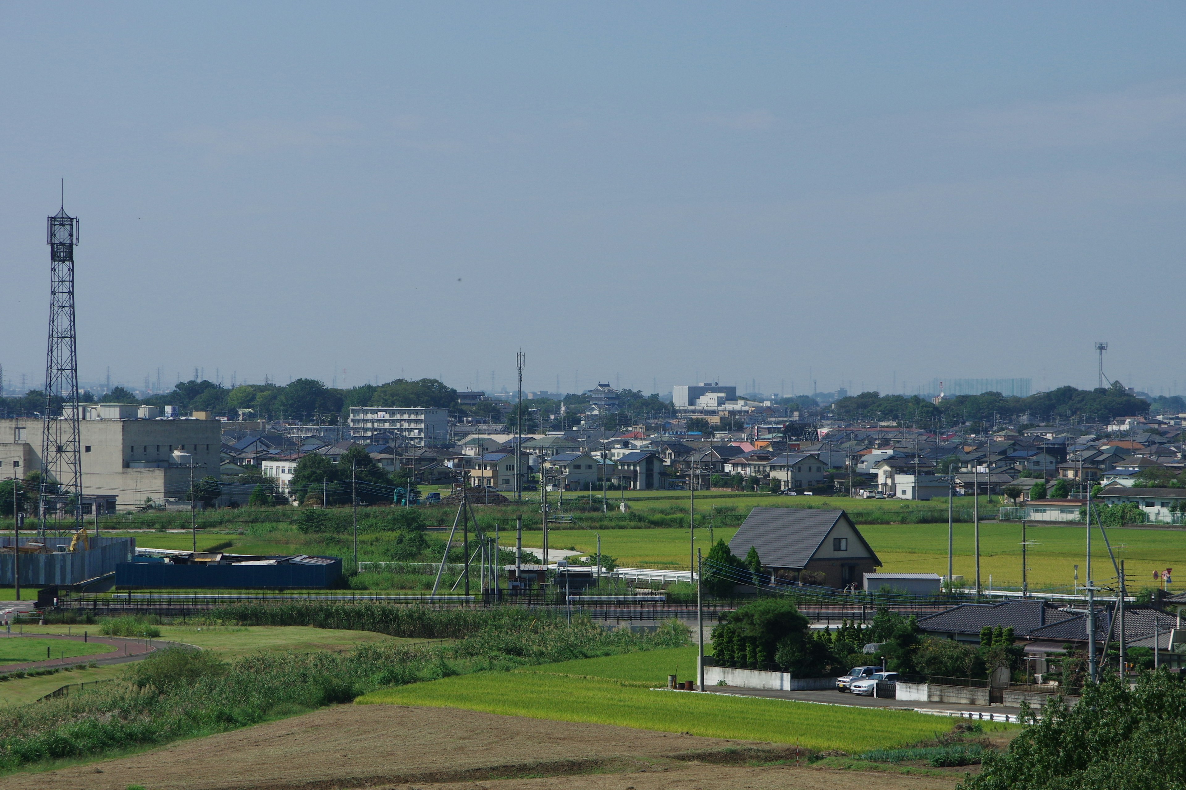 Japanische Landschaft mit Reisfeldern und Vorstadthäusern