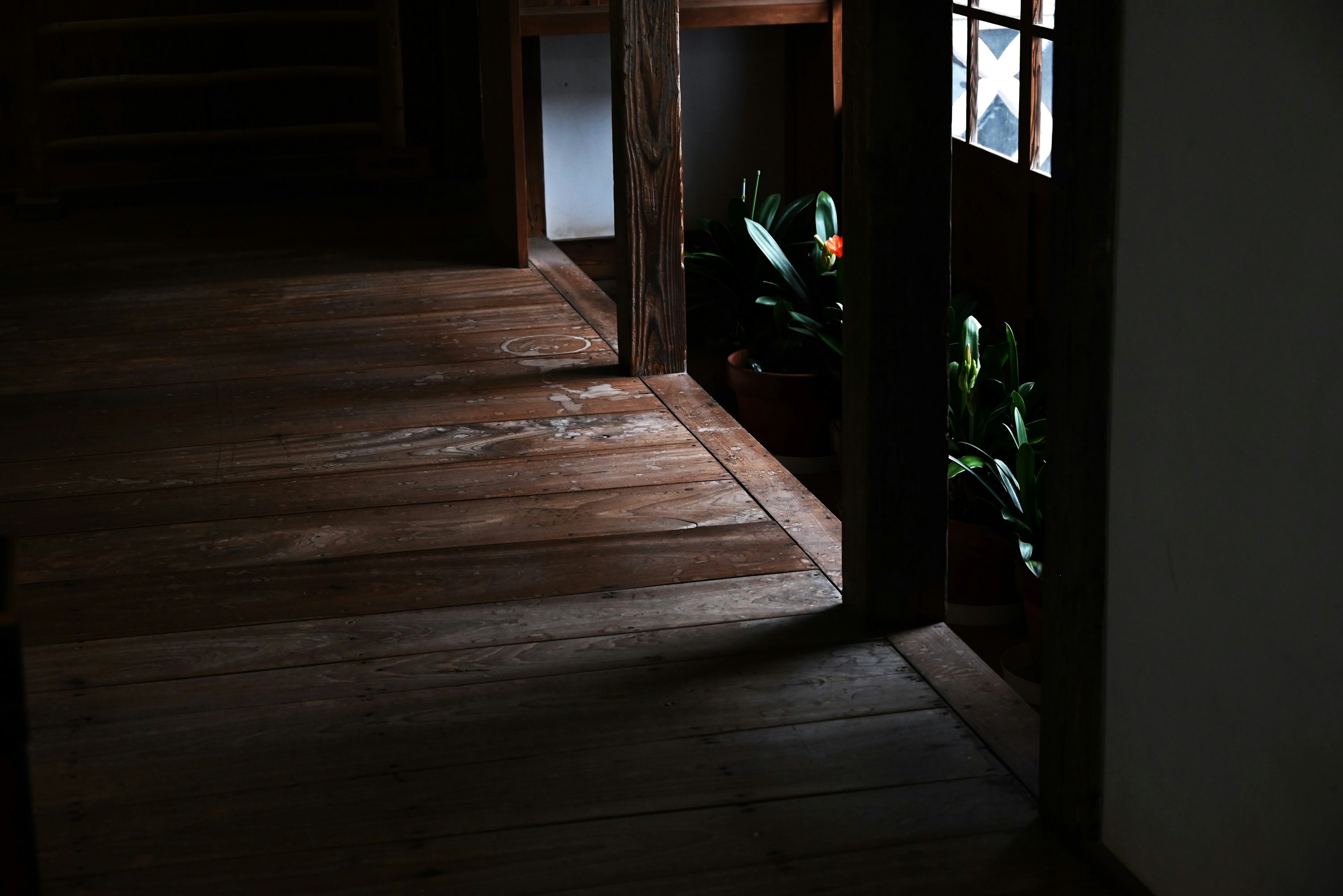 Couloir sombre avec un sol en bois et des plantes vertes visibles à travers la fenêtre