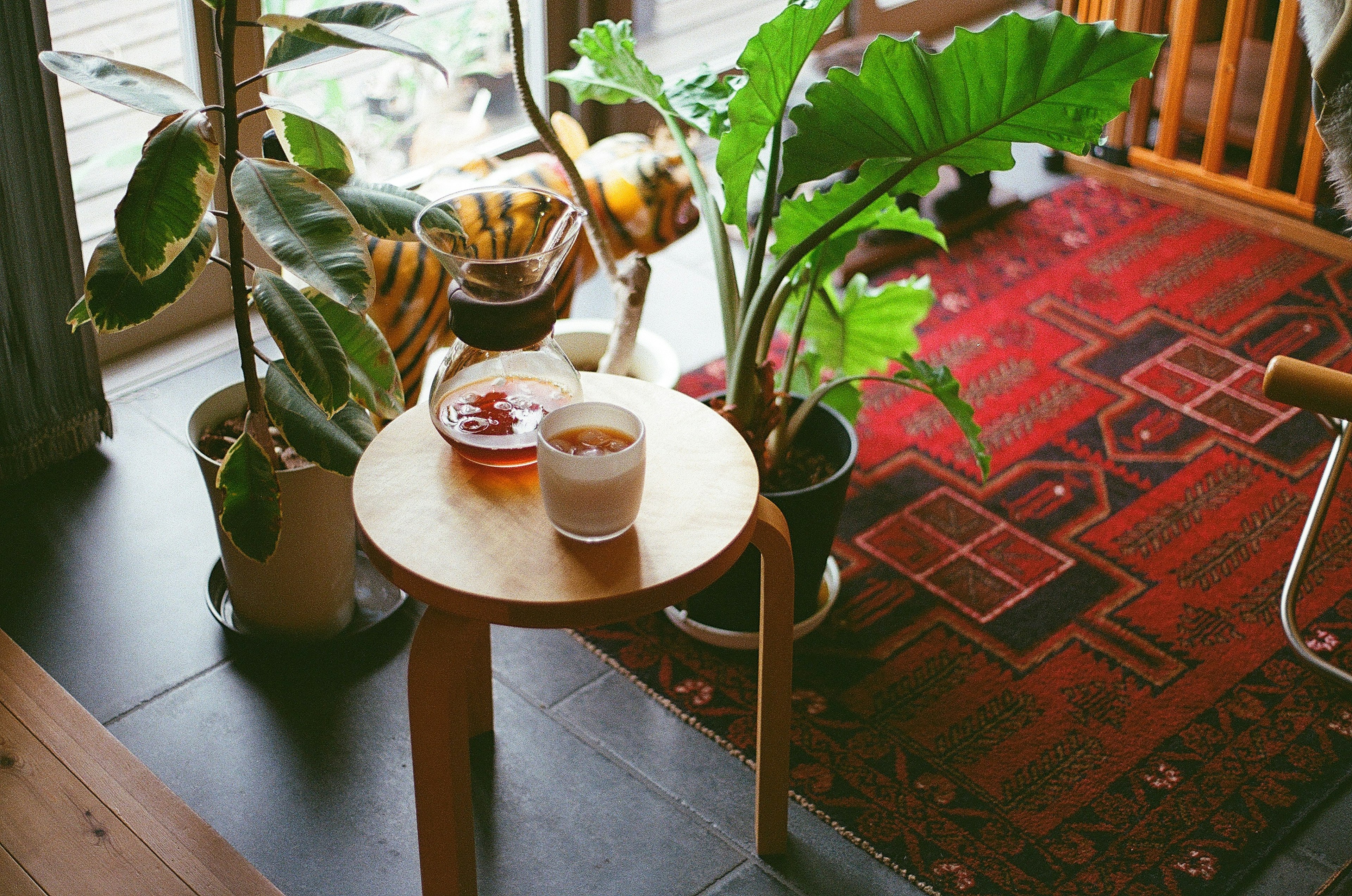 Cozy living room corner with a wooden table featuring a coffee cup and snacks surrounded by plants and a red rug