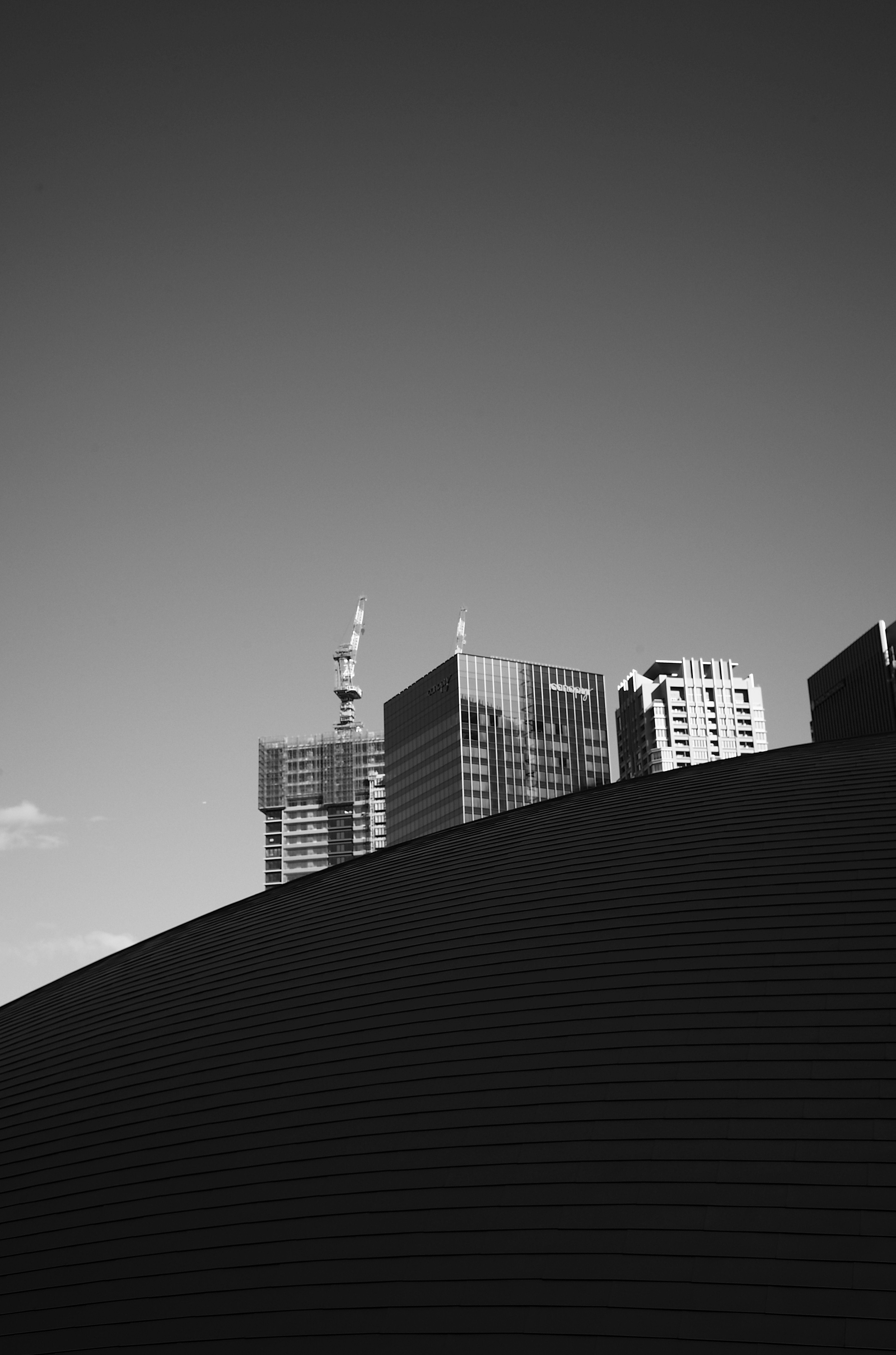 Black and white cityscape featuring skyscrapers and a curved roof