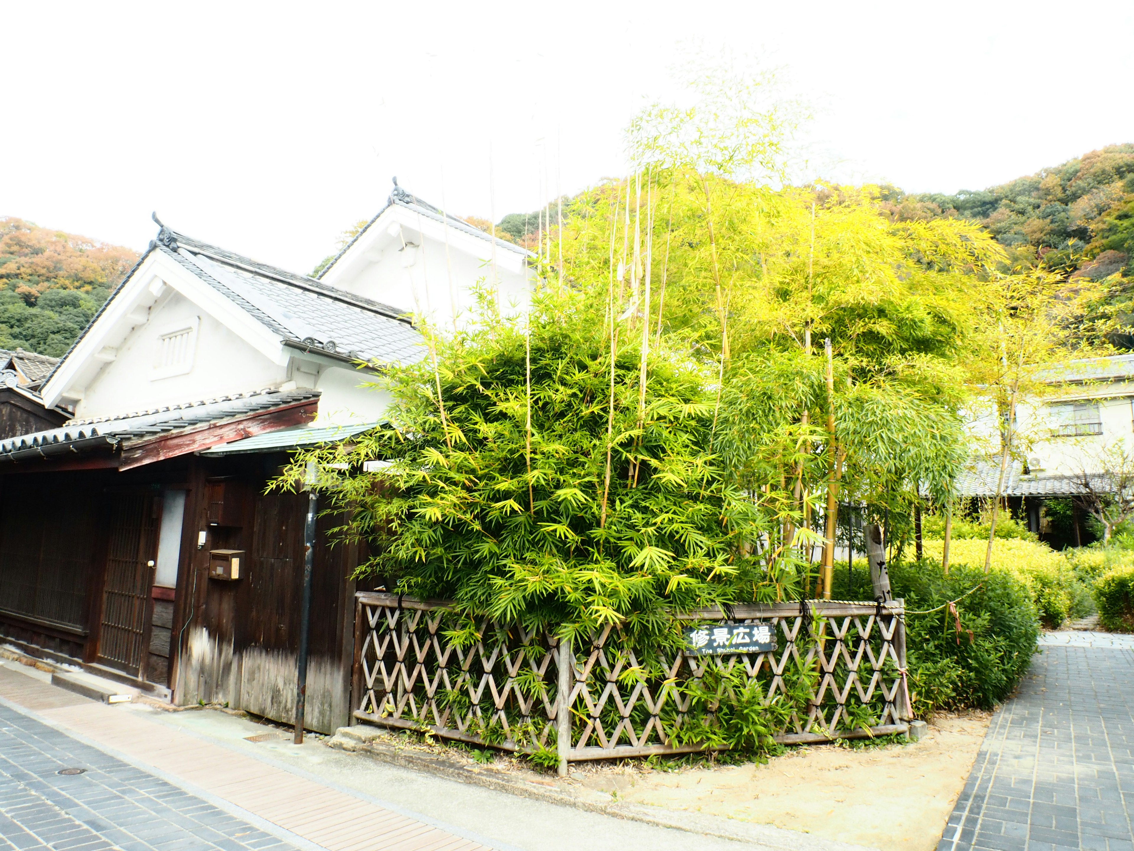 緑豊かな竹と伝統的な日本家屋の風景