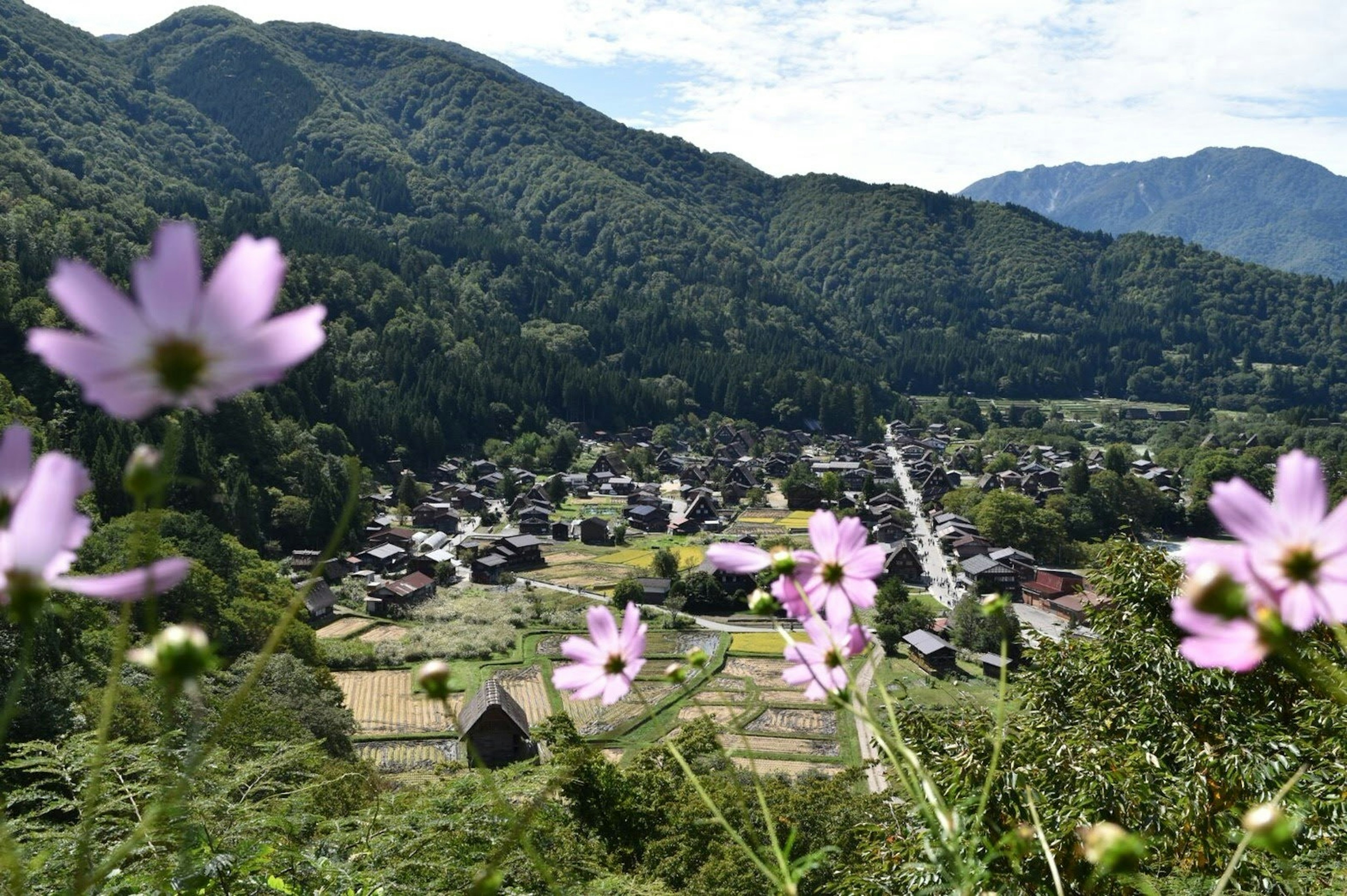 A small village surrounded by mountains with blooming flowers in the foreground