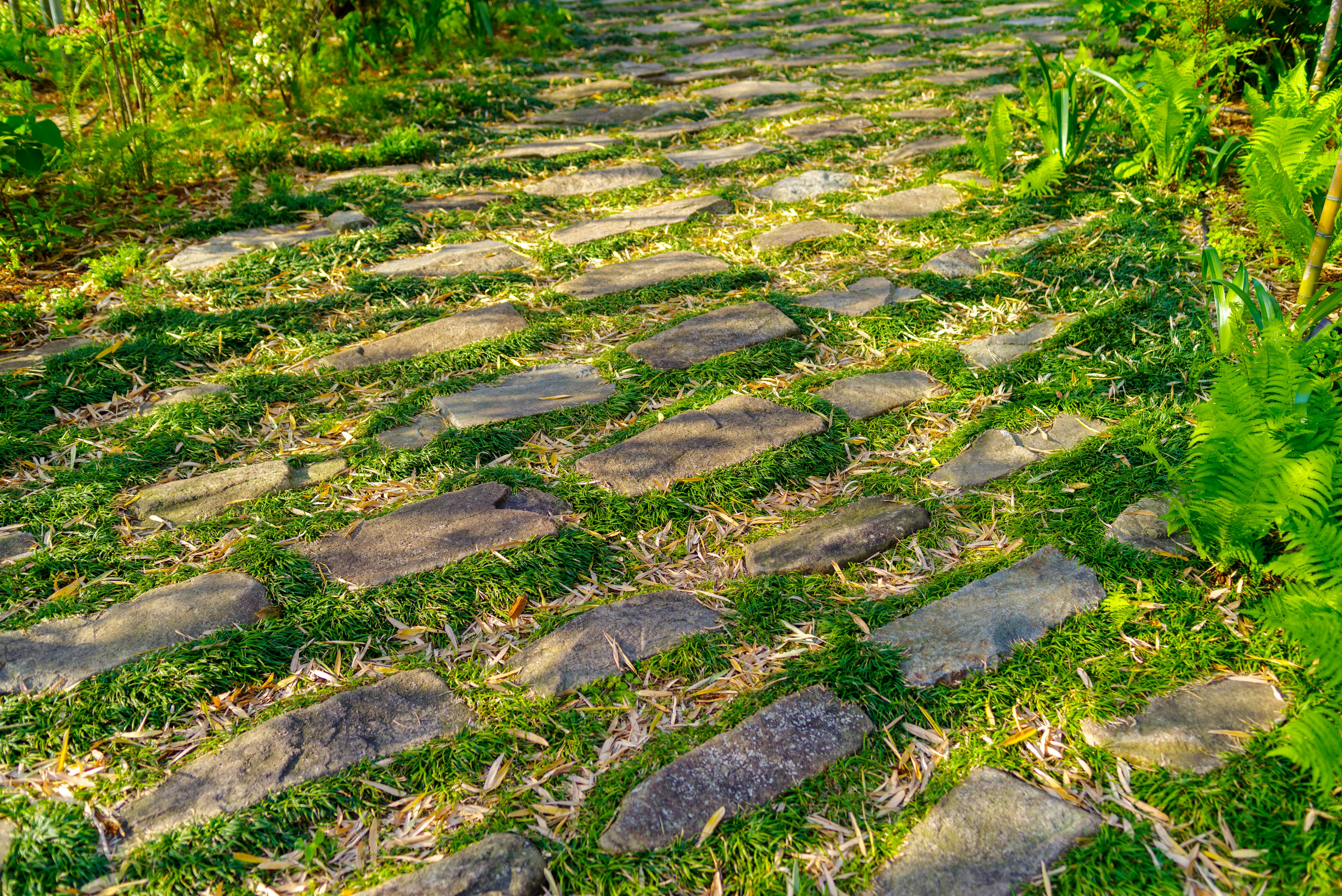 A stone pathway surrounded by greenery