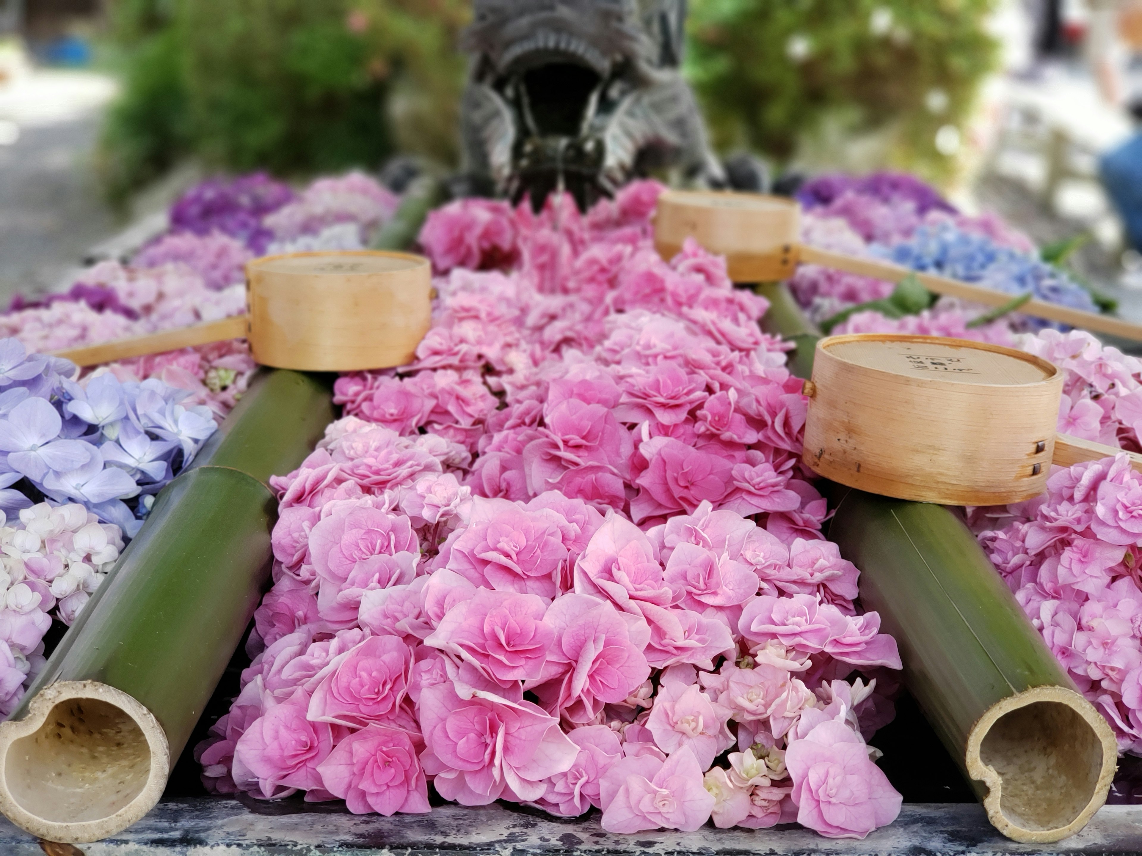 Colorful flower petals arranged on a bamboo platform with traditional decor