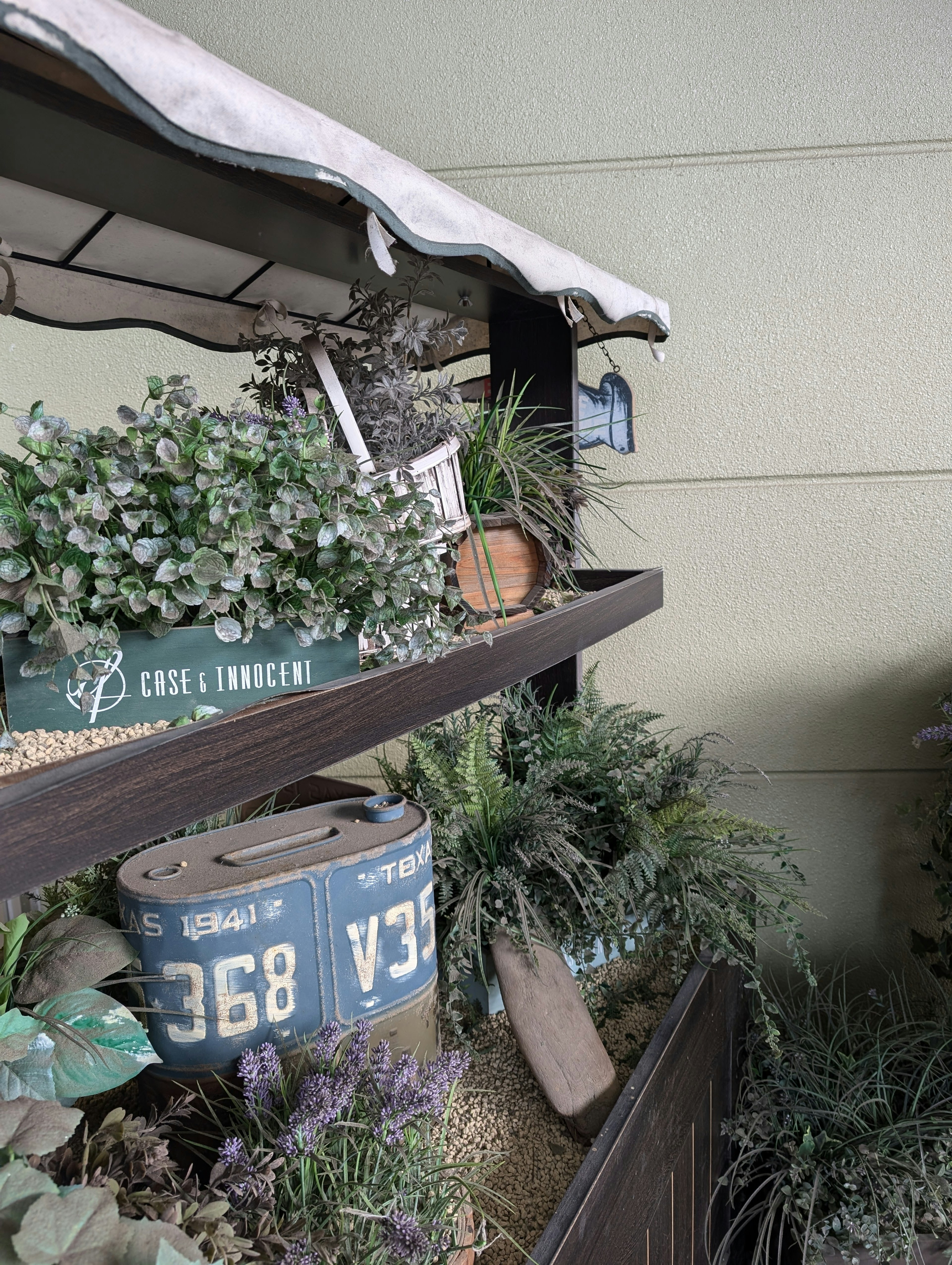 Decorative shelf featuring plants and vintage cans