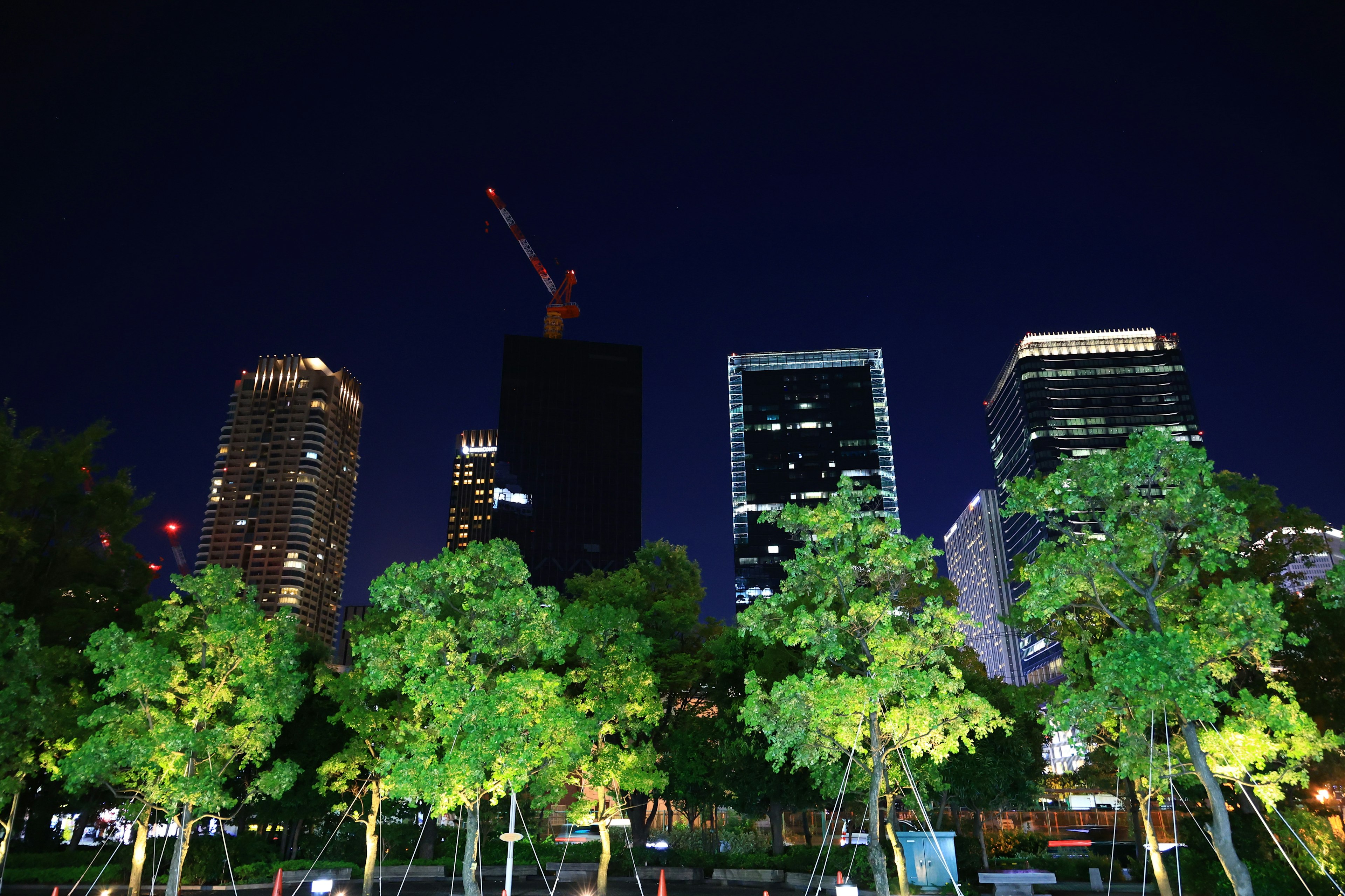 Paysage urbain nocturne avec des gratte-ciels et des arbres verts mettant en avant une grue de construction