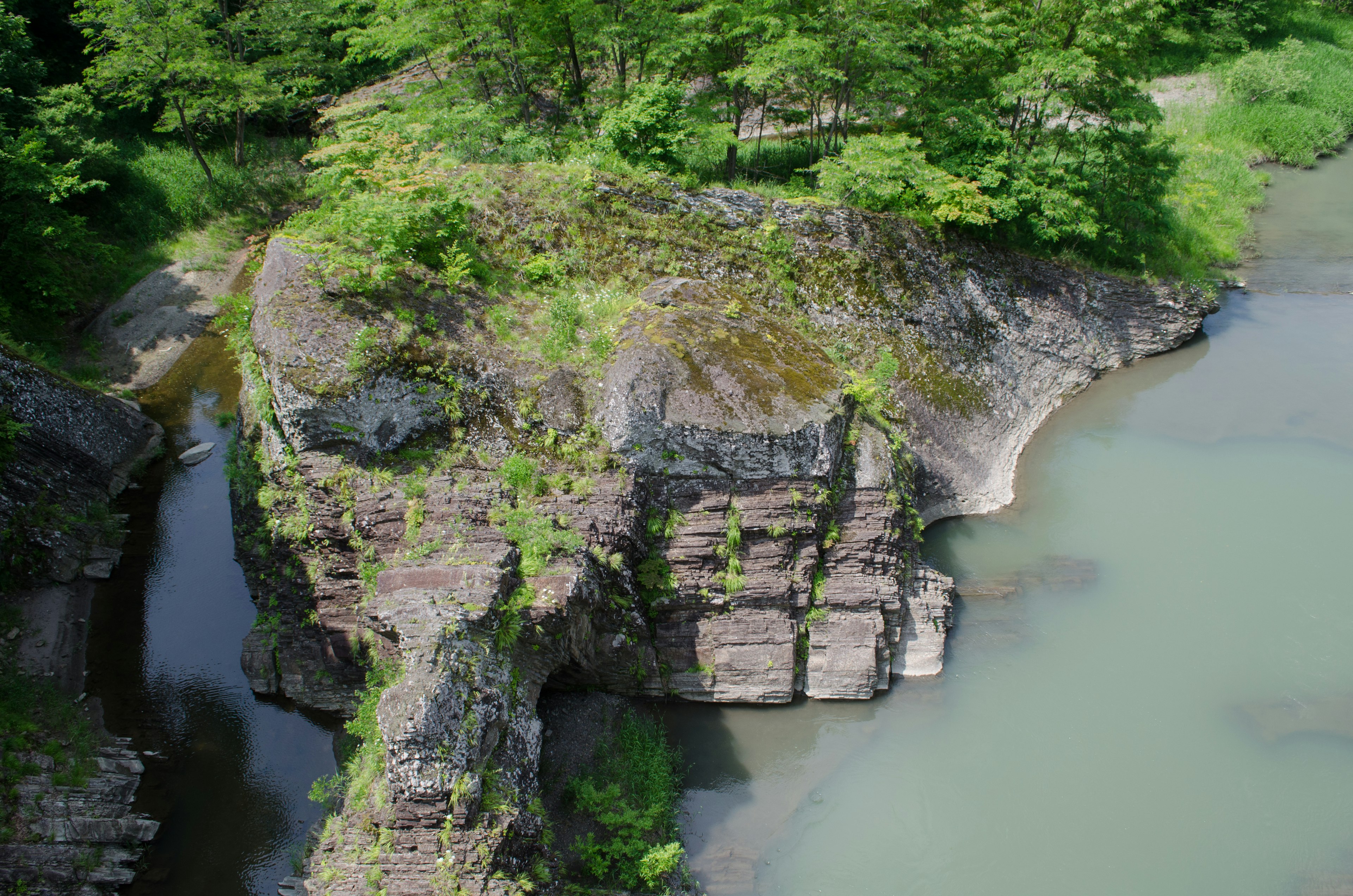 緑に覆われた岩の島と静かな水域の風景