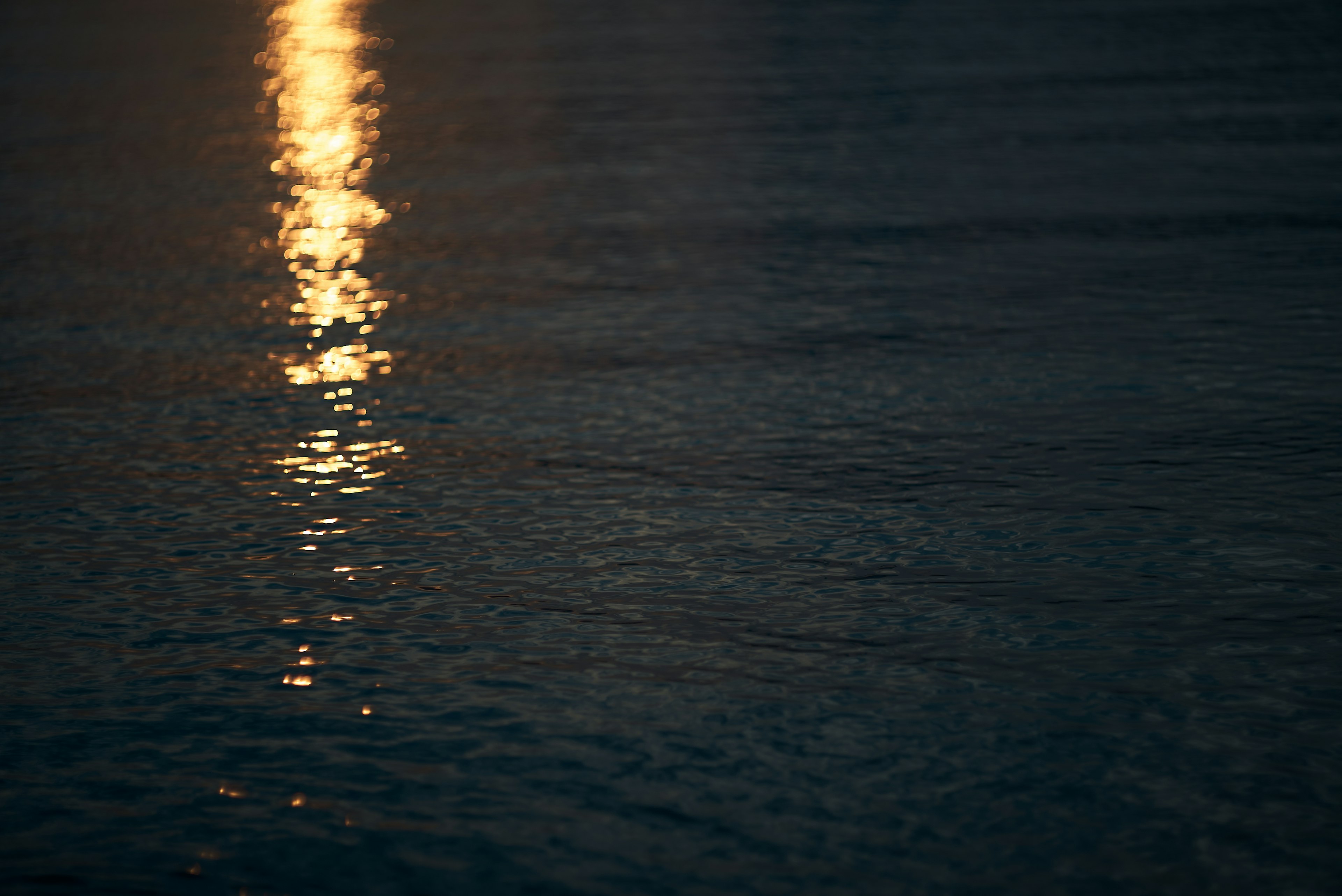 水面に反射する夕日の光