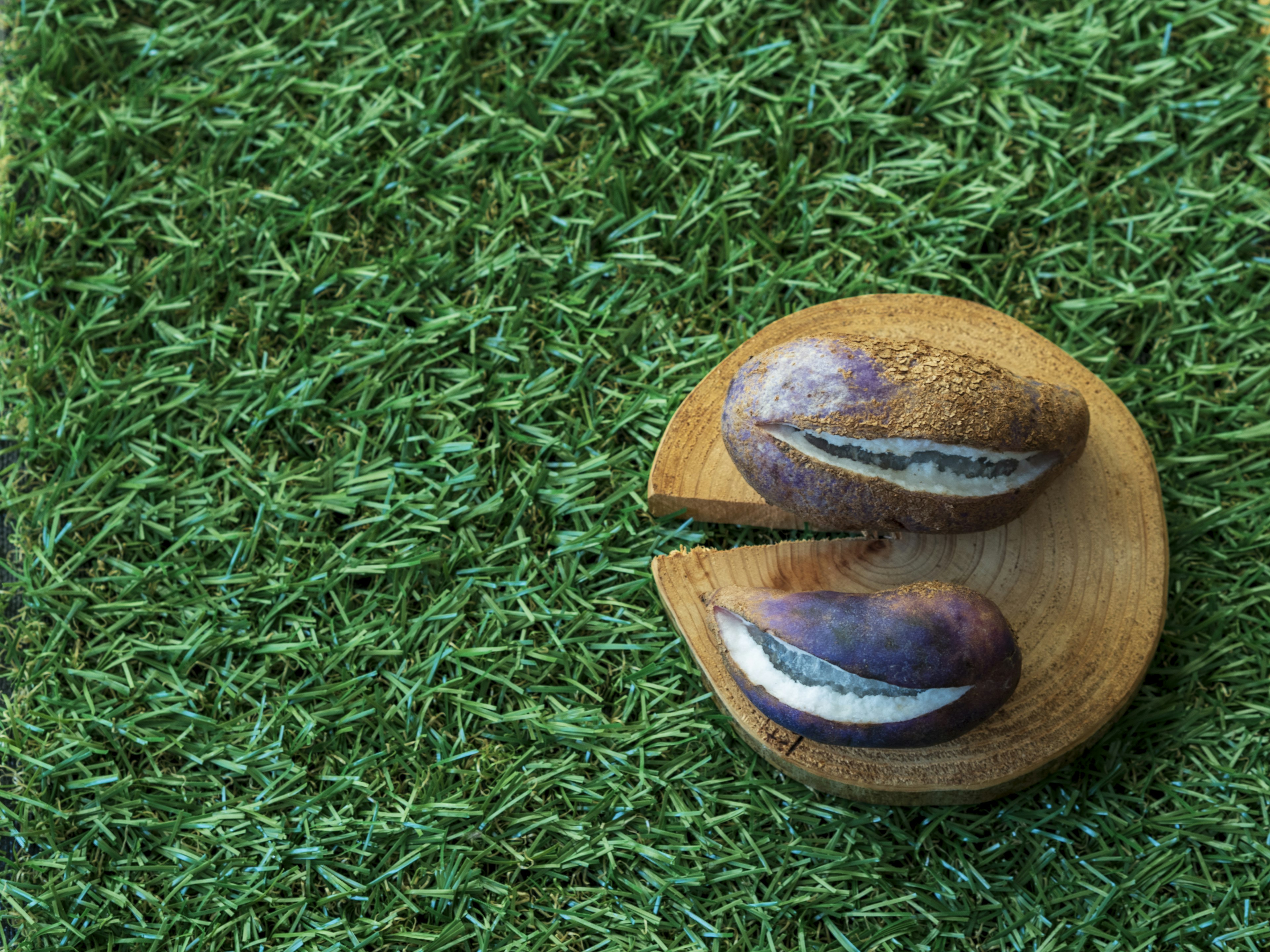 Deux pierres sur une assiette en bois reposant sur de l'herbe artificielle verte