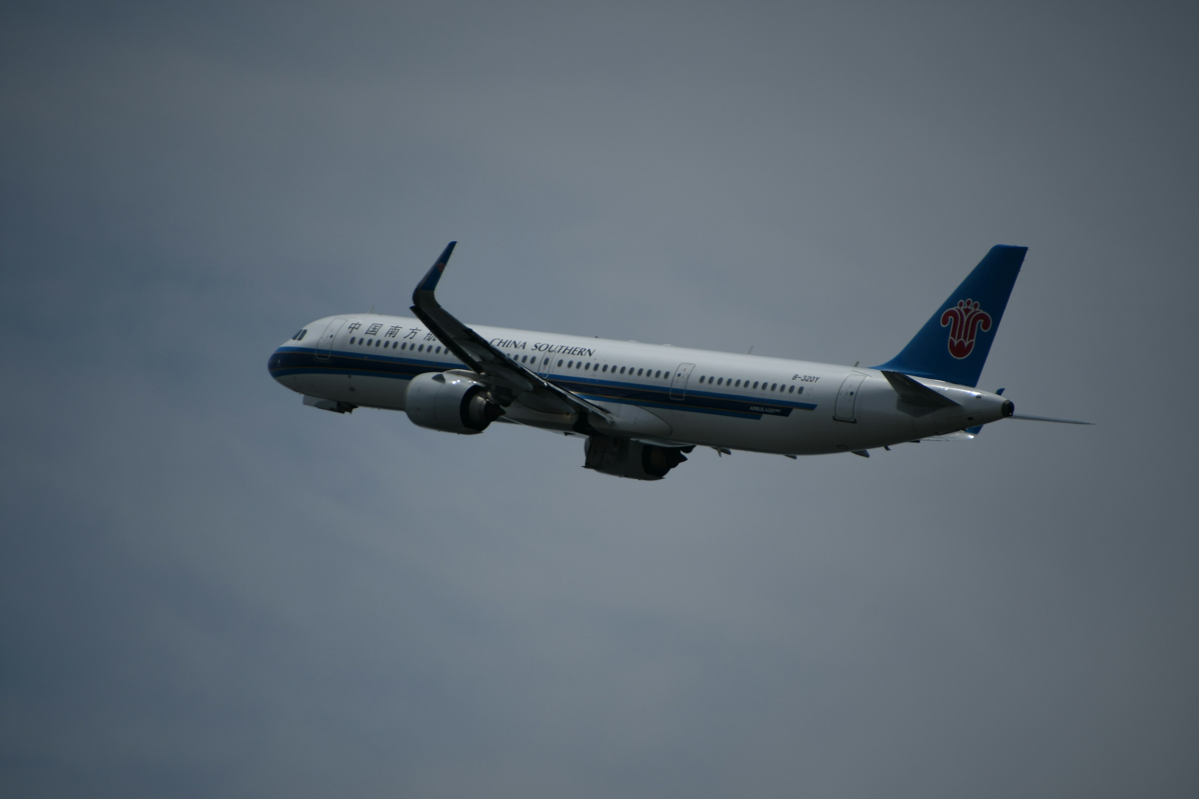 Passenger aircraft with blue tail flying in the sky