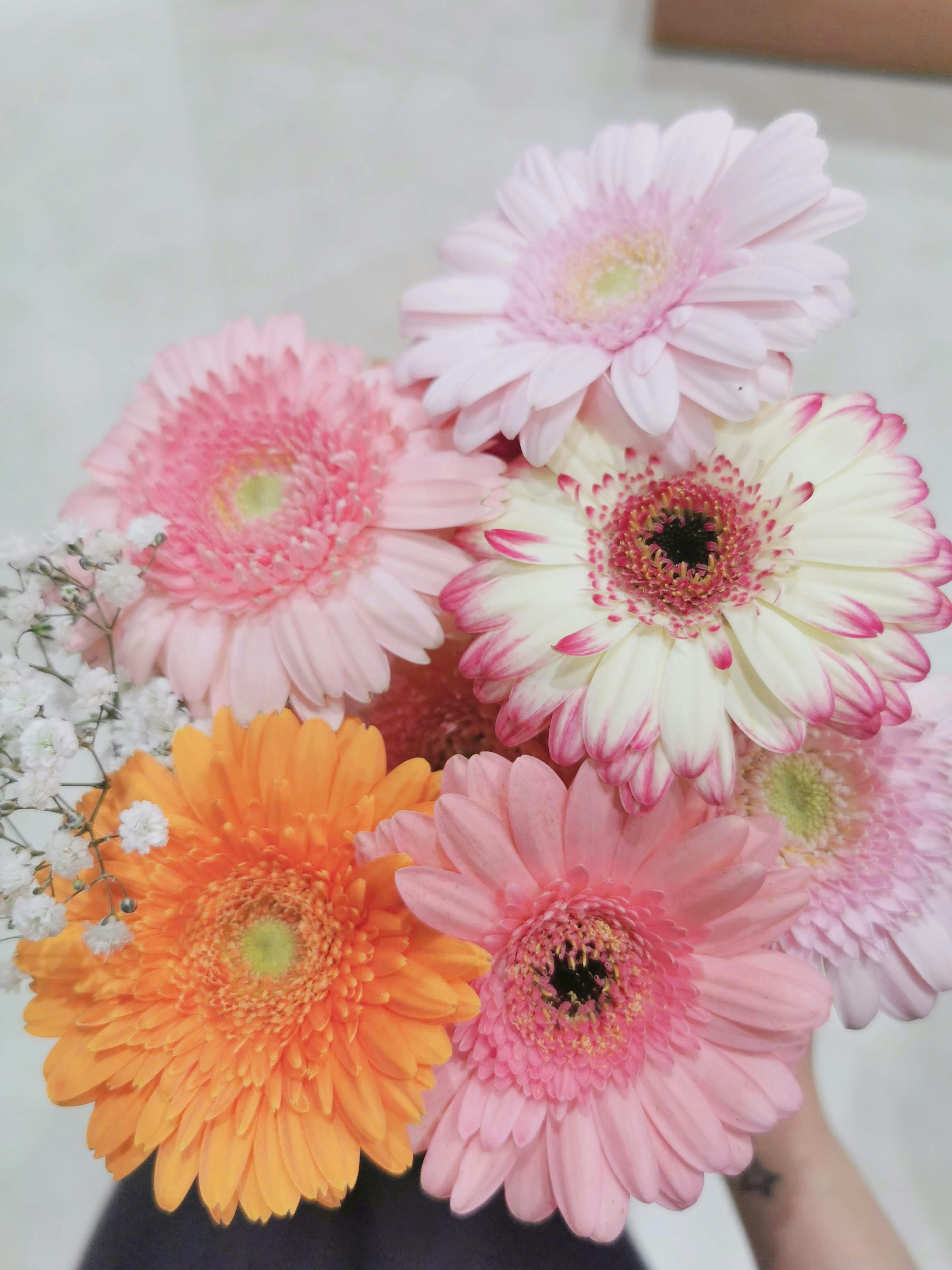 A colorful bouquet of gerbera daisies held in a hand