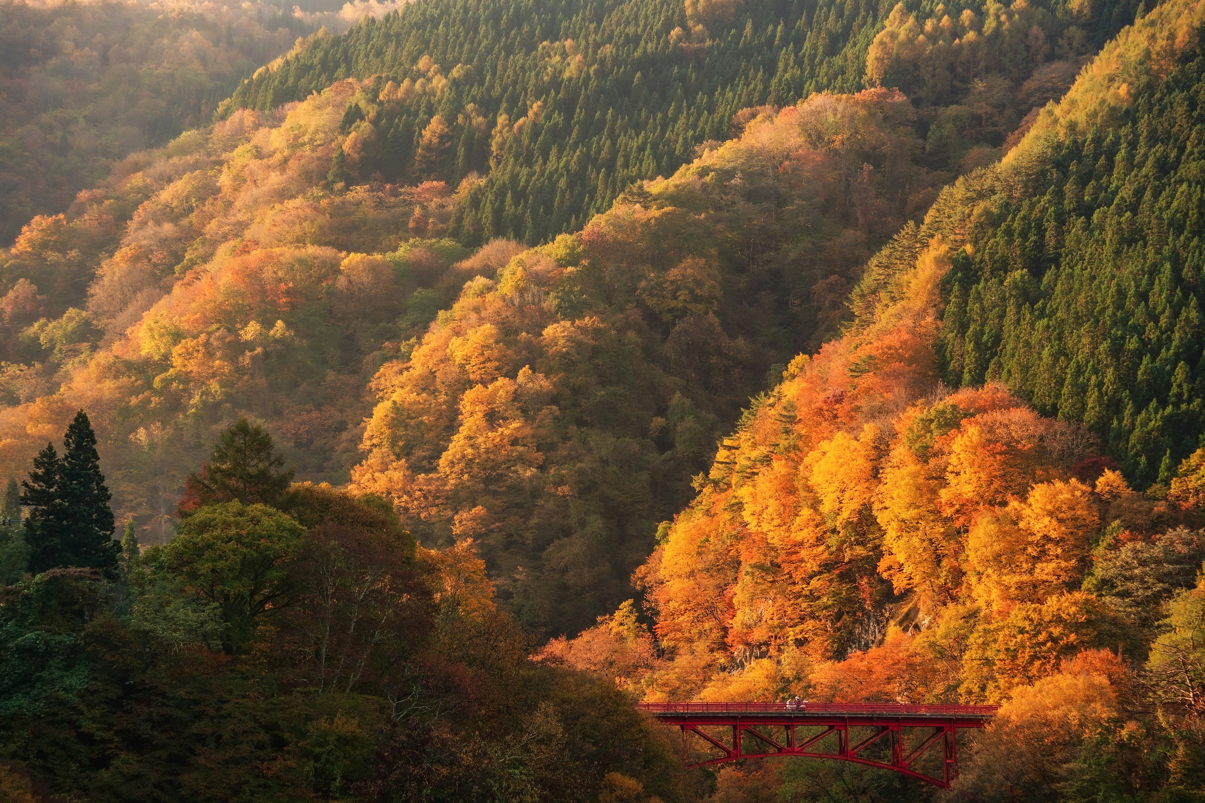 美しい秋の景色で色とりどりの葉が茂る山々と赤い橋が見える