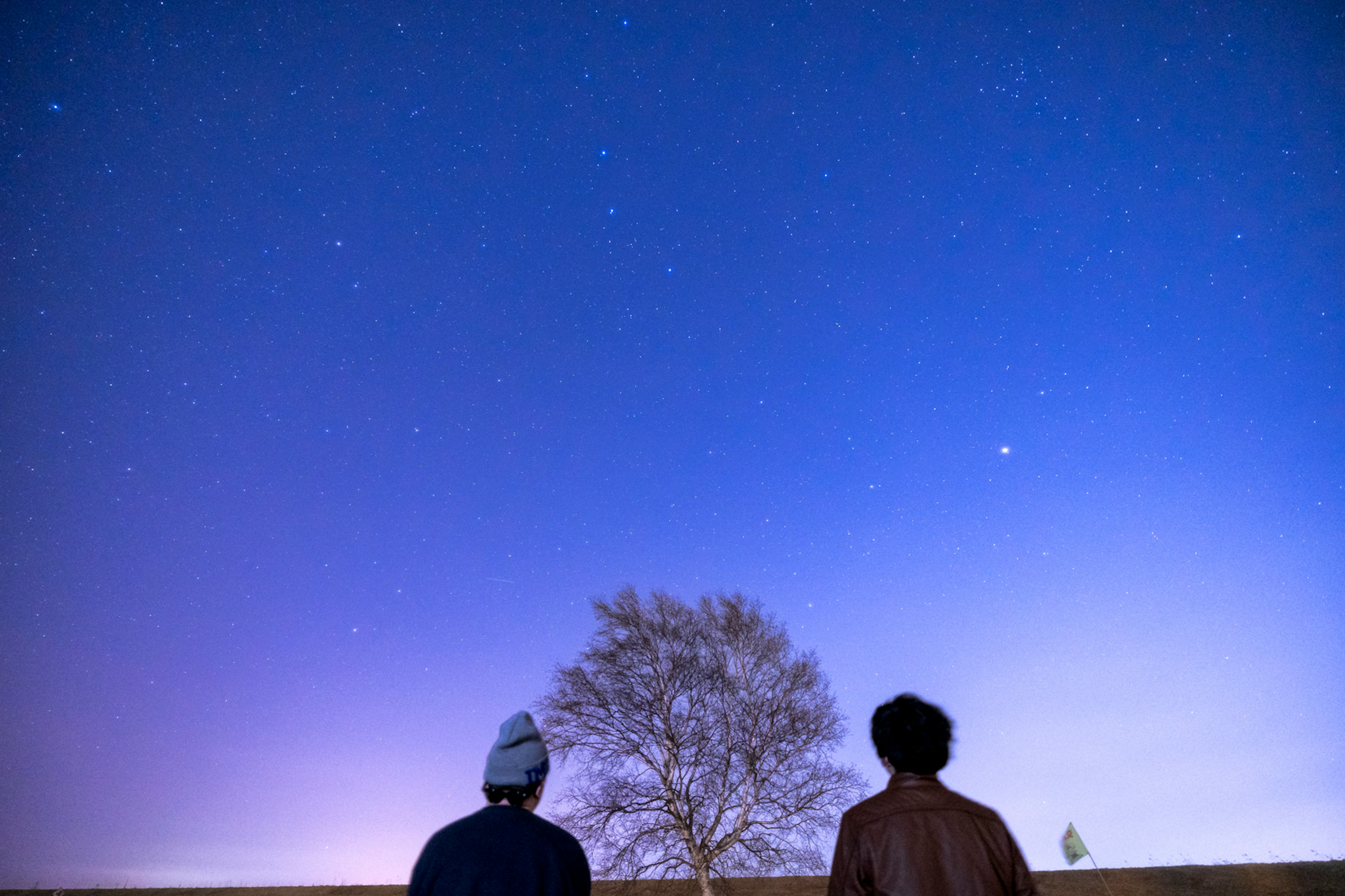 Deux personnes regardant un ciel étoilé avec un arbre solitaire