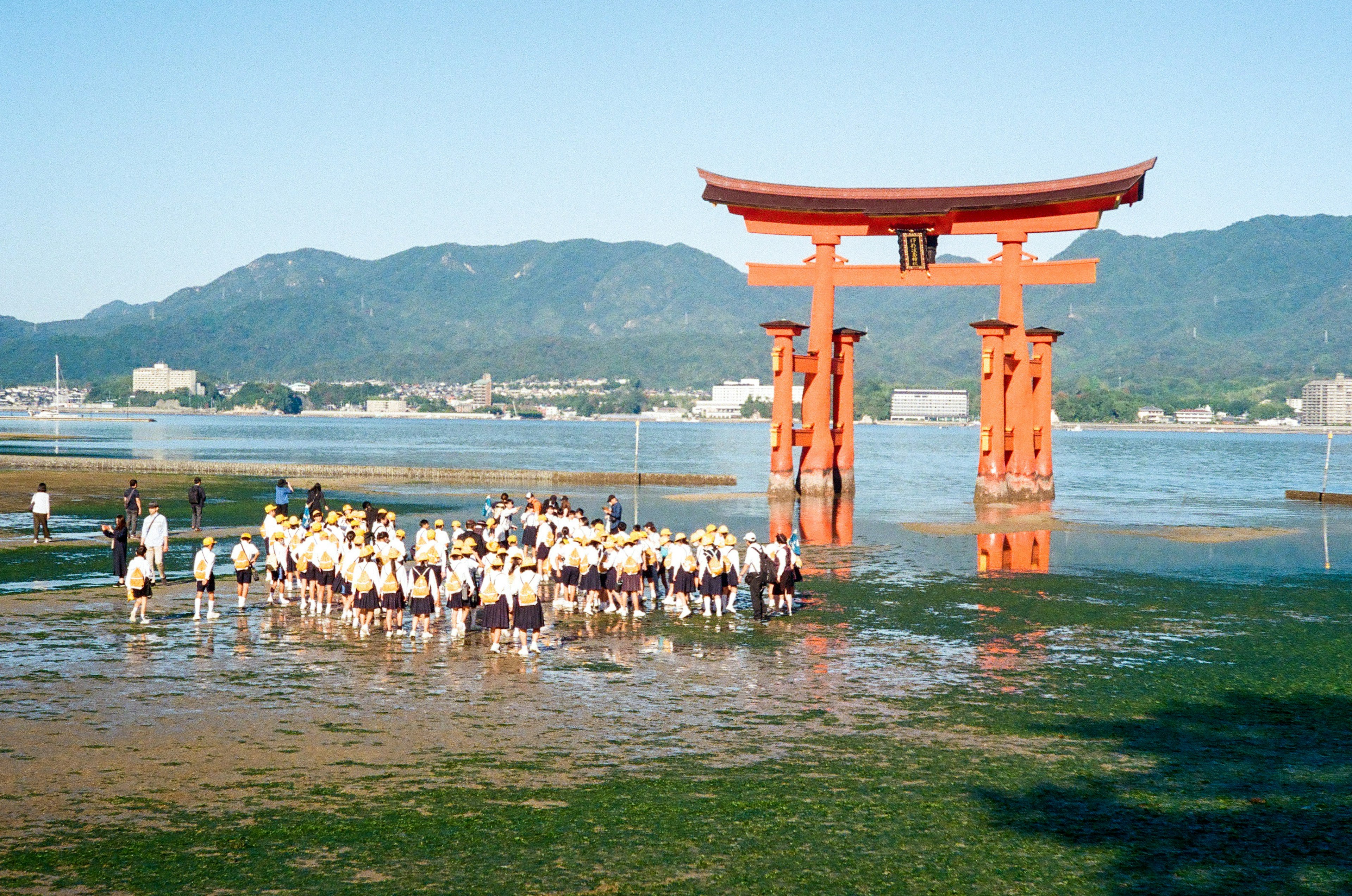 海に立つ赤い鳥居とその周りの人々の集団