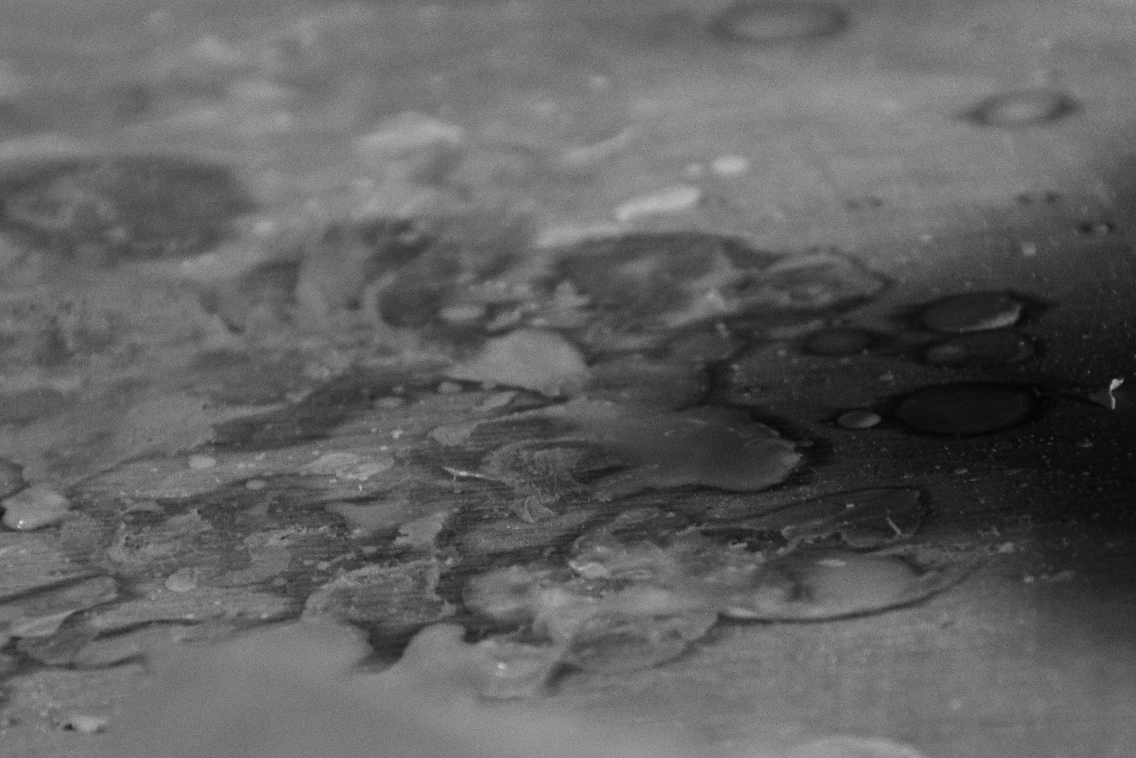 Black and white image featuring a pattern of water droplets