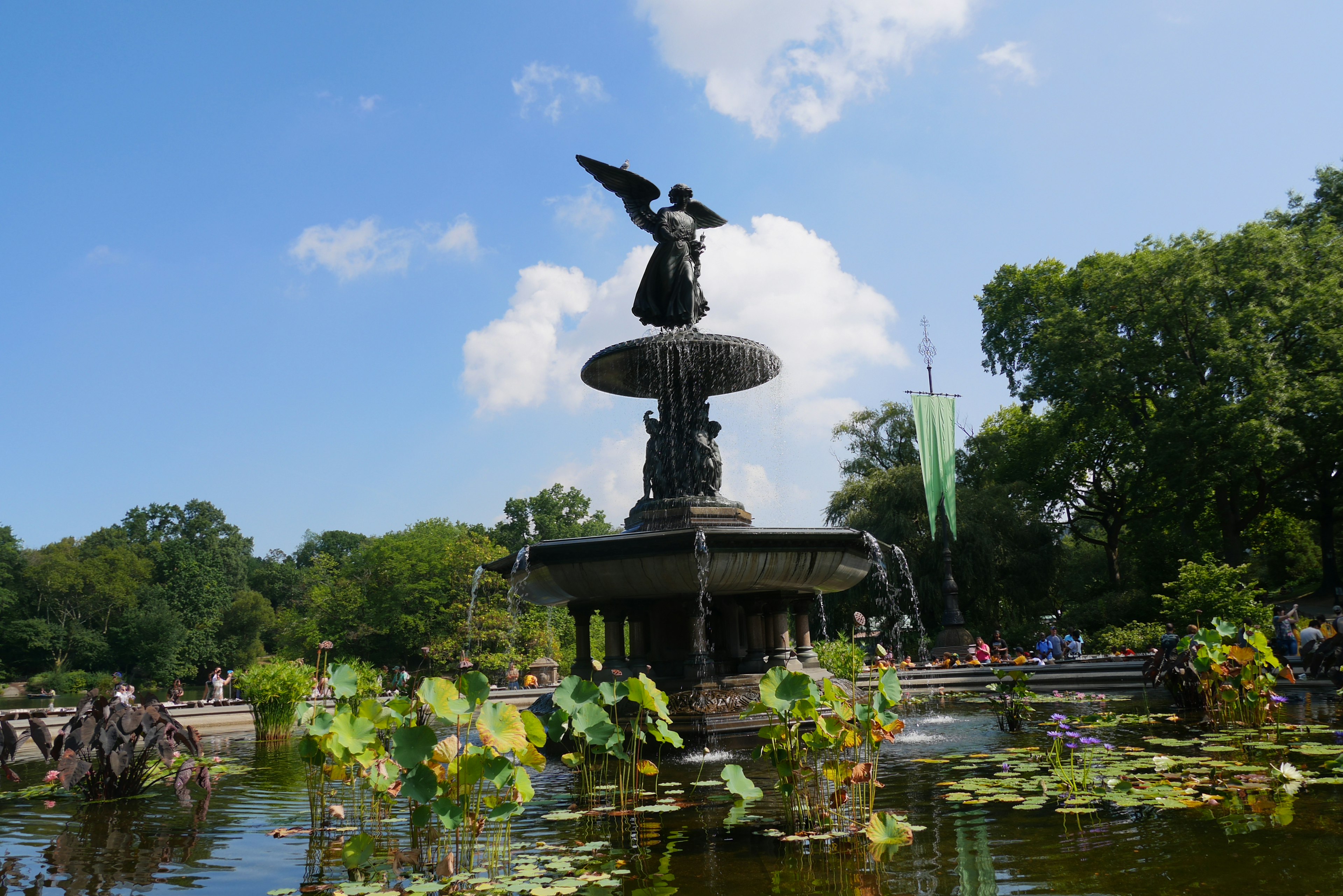 Fontana del Central Park con statua d'angelo circondata da ninfee