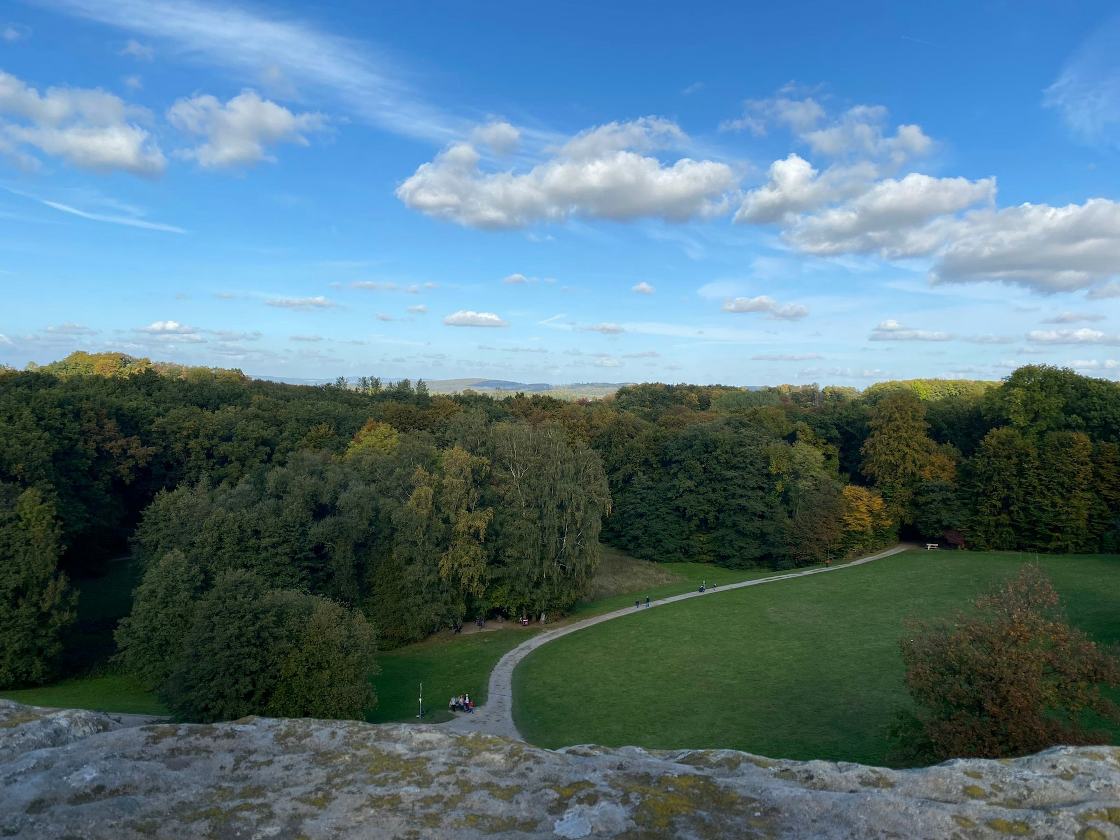 Malersicher Blick auf einen üppigen Wald und einen Park unter einem schönen blauen Himmel