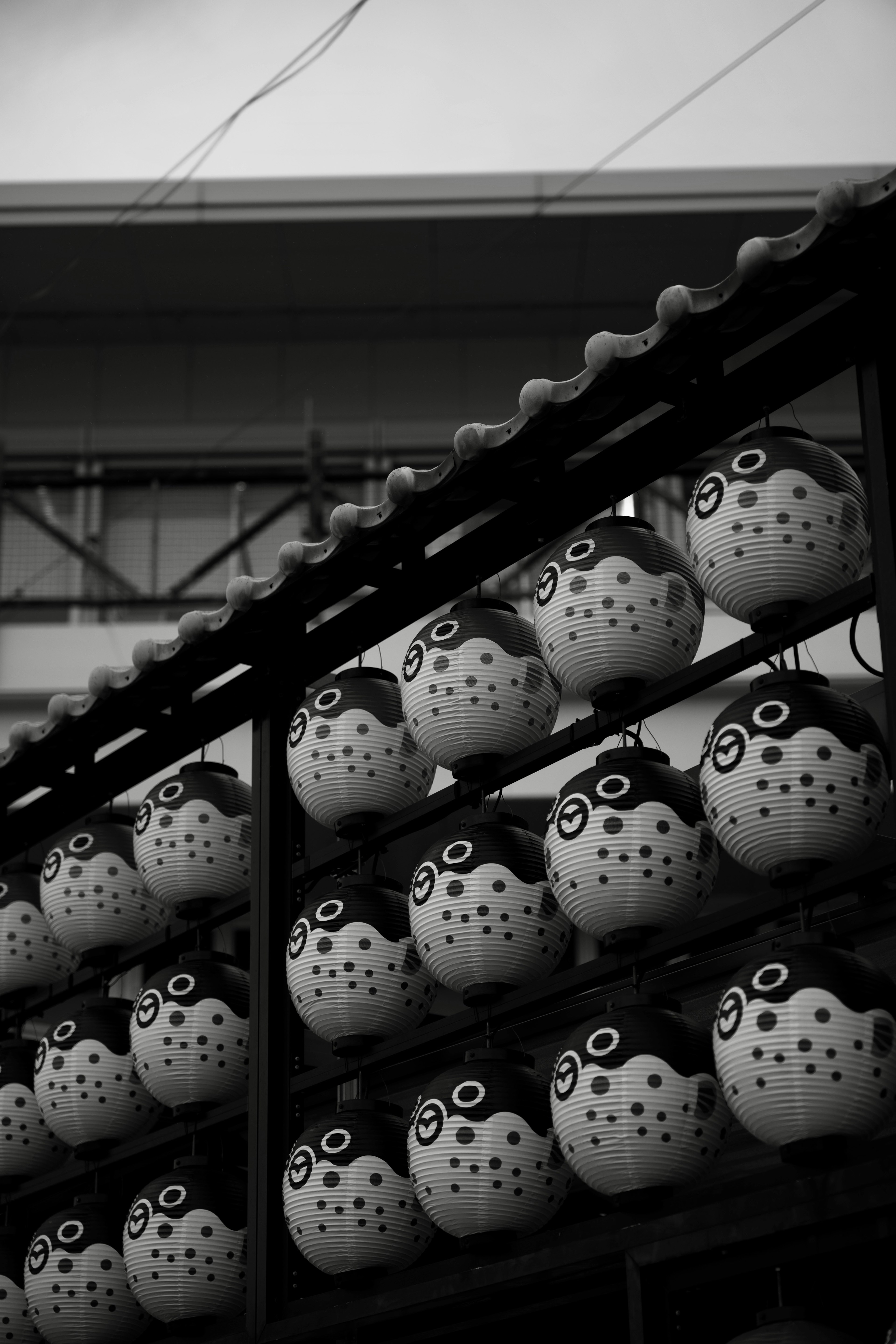 Fila de búhos de cerámica blanca exhibidos en blanco y negro