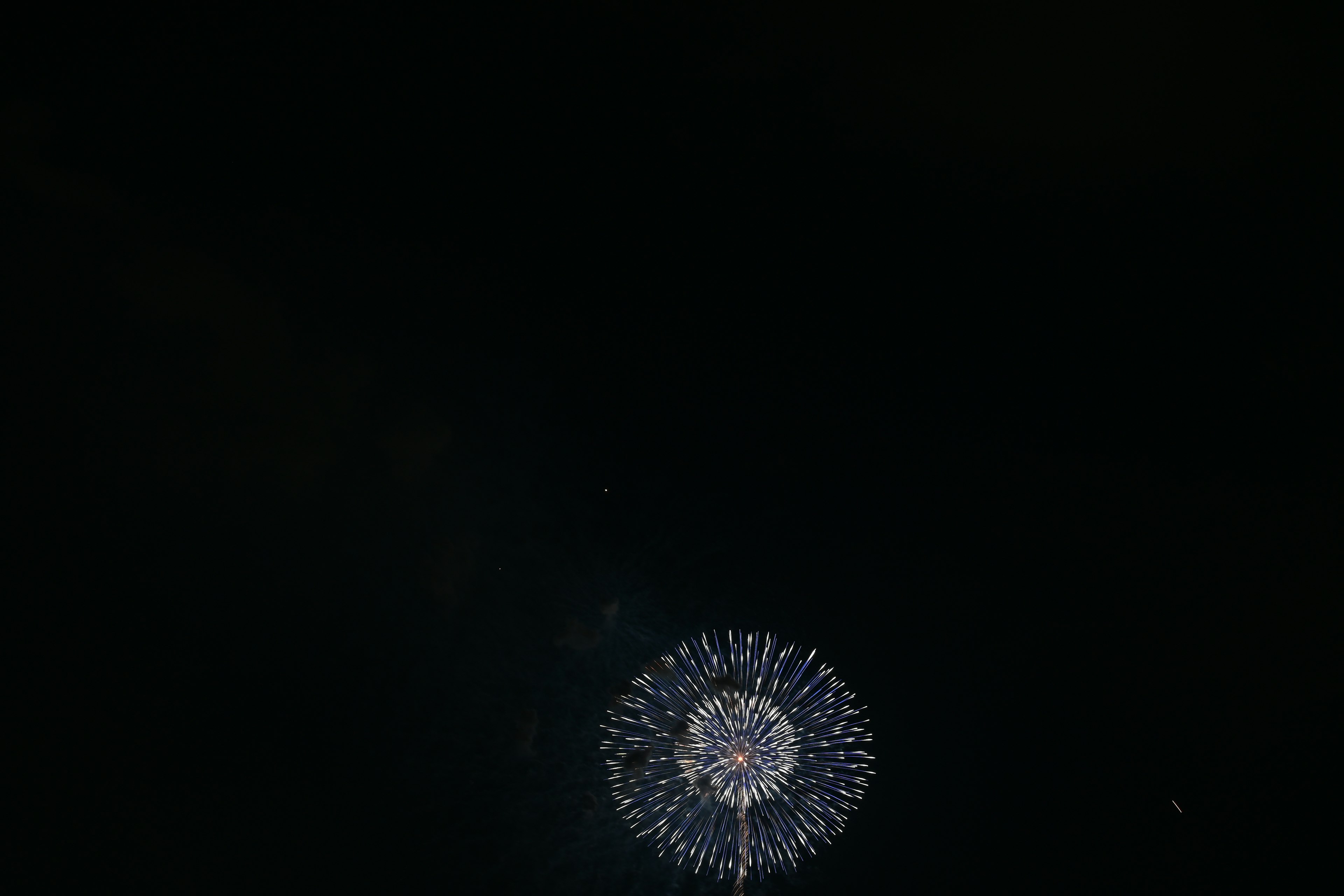 Firework display resembling a flower shape against a black background