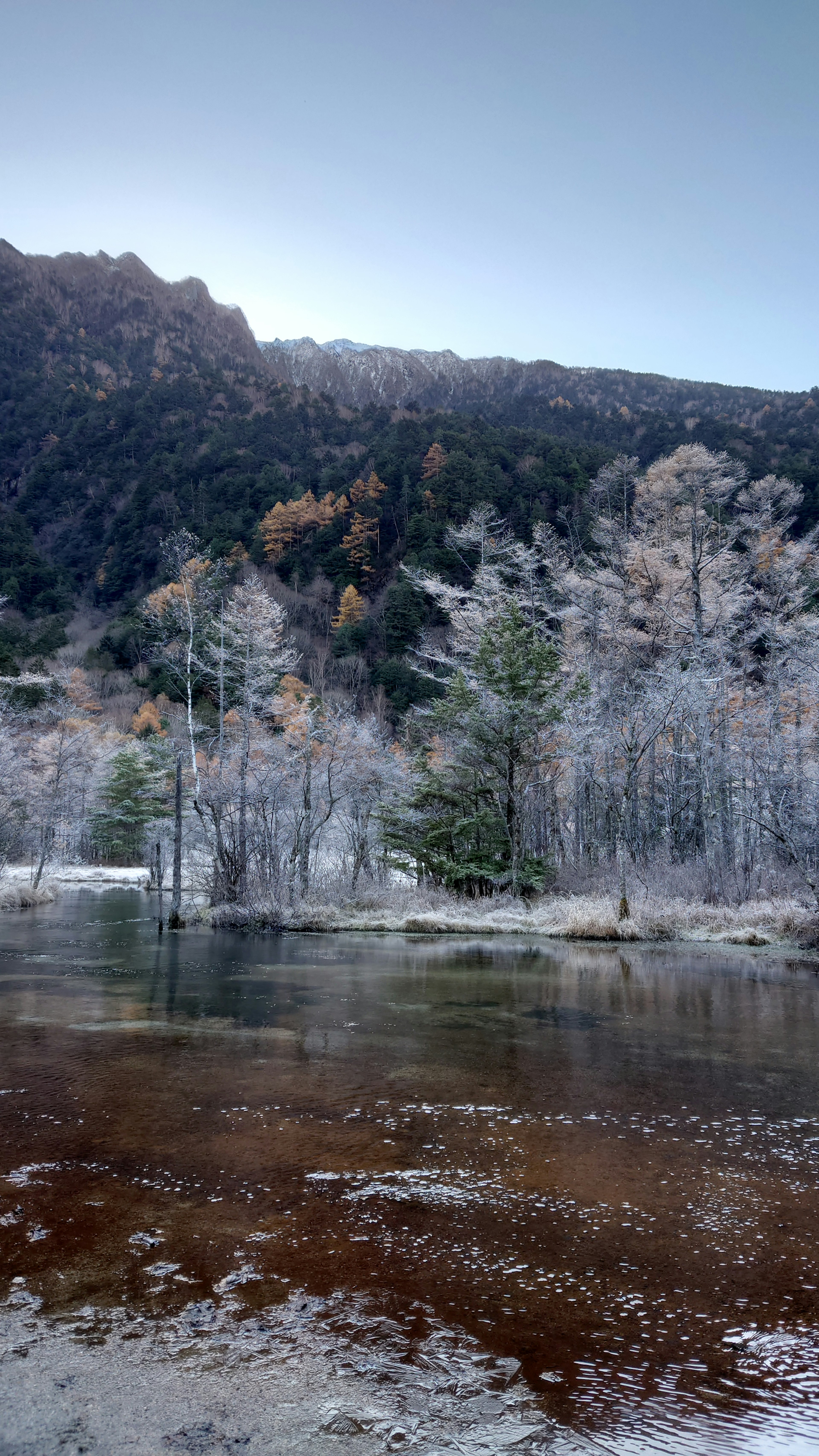 冬の風景に凍った川と霜のついた木々