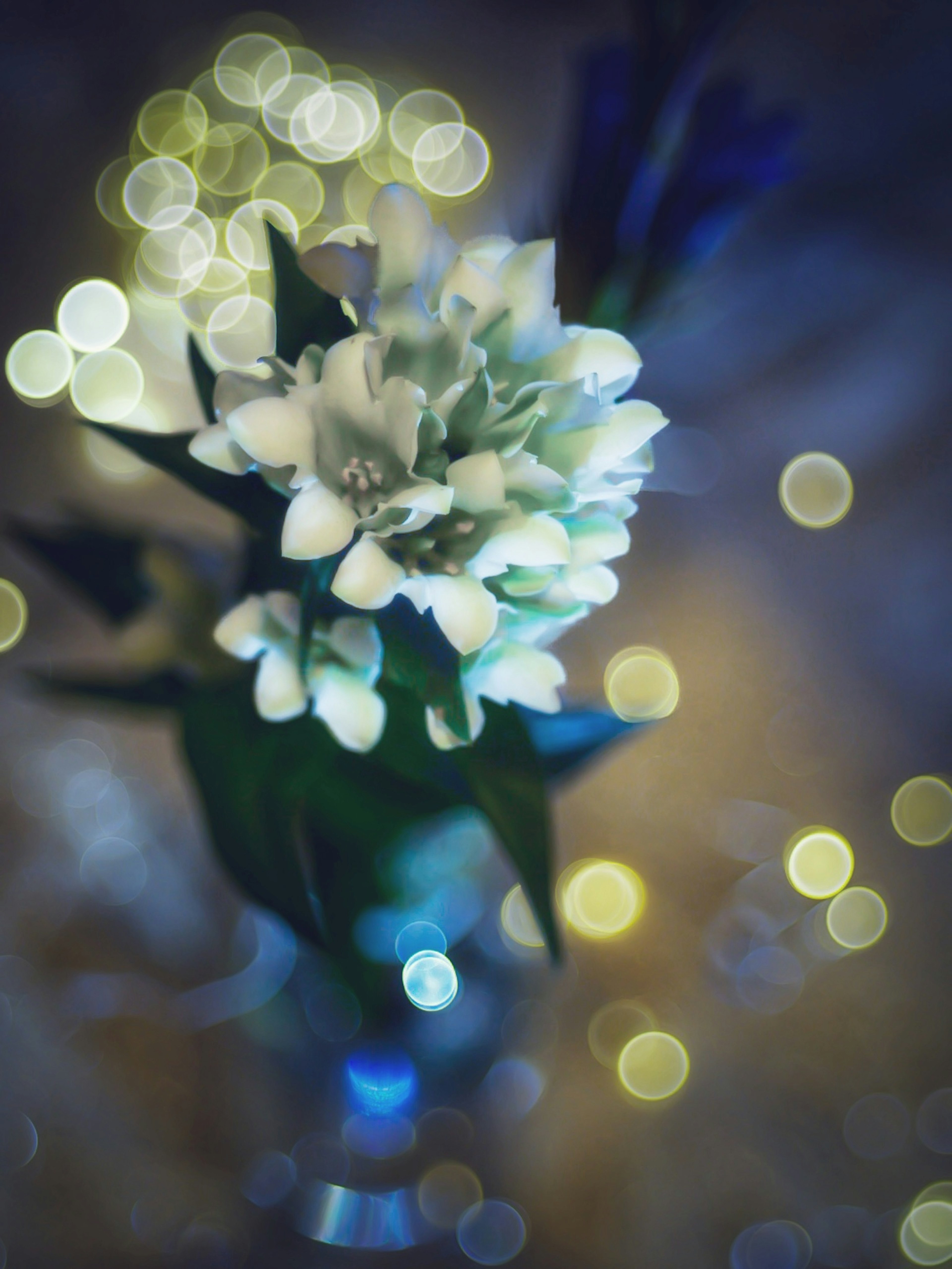 A close-up of white flowers with green leaves in a vase surrounded by a blurred, glowing background