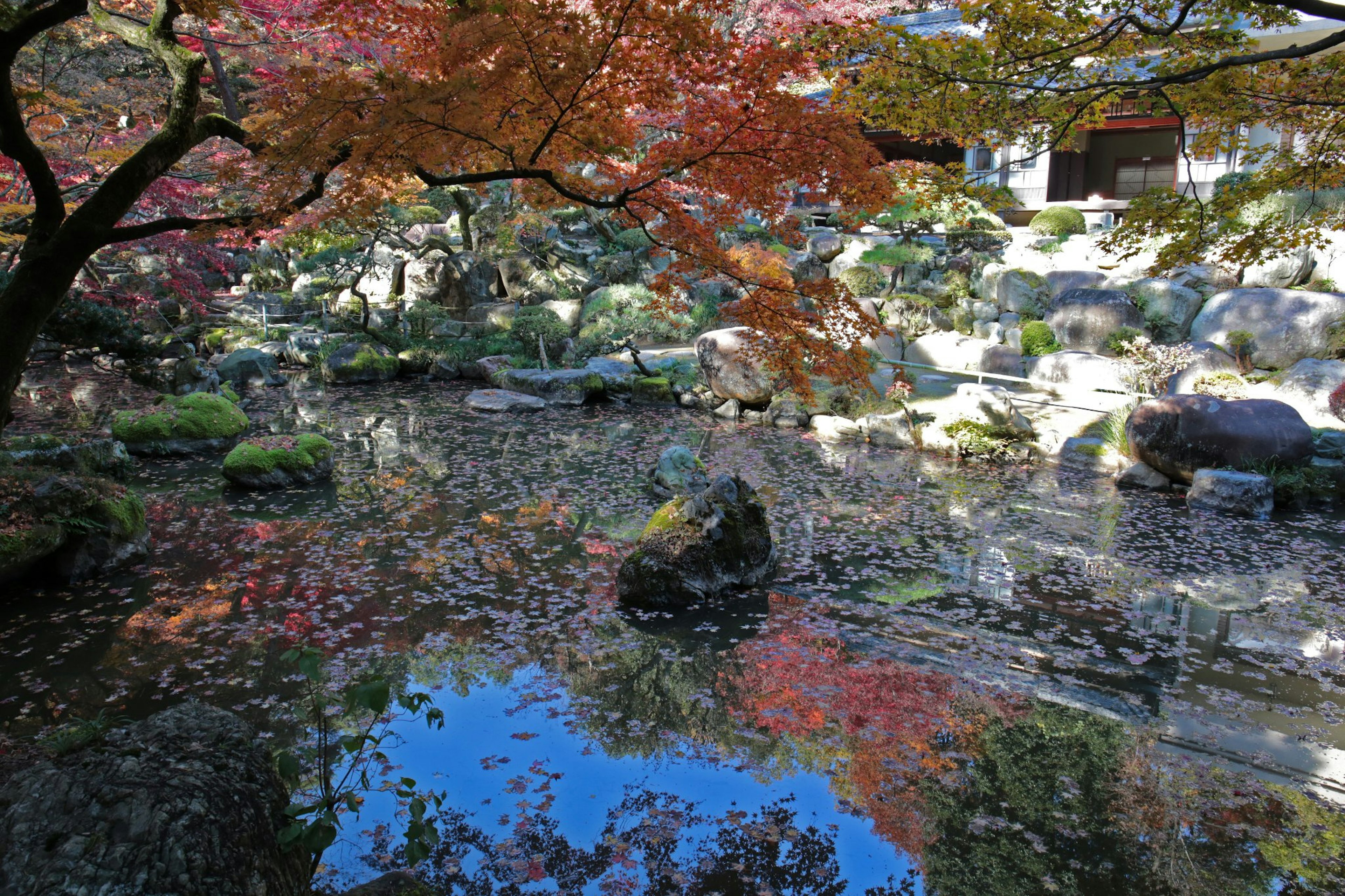 Schöner japanischer Garten mit Teich und Herbstblättern