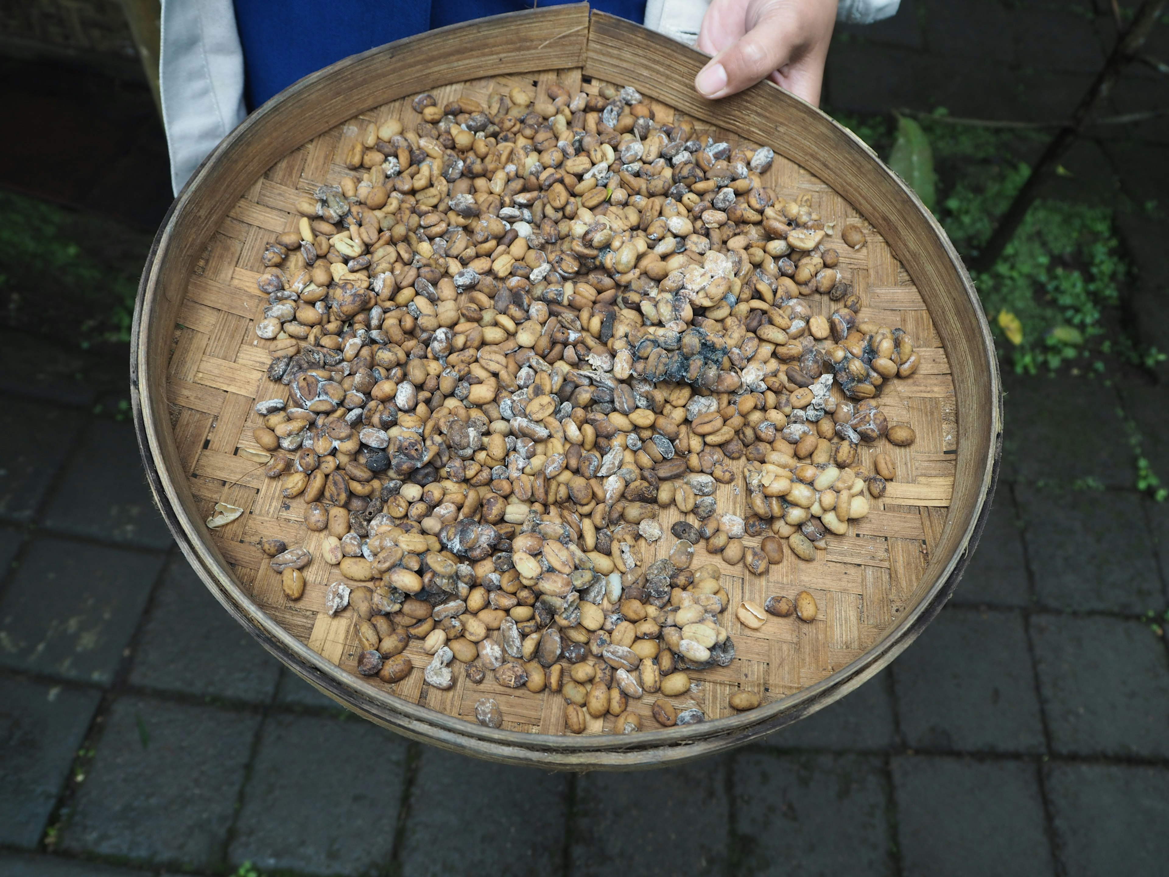 A bamboo tray filled with various stones and pebbles held by a person