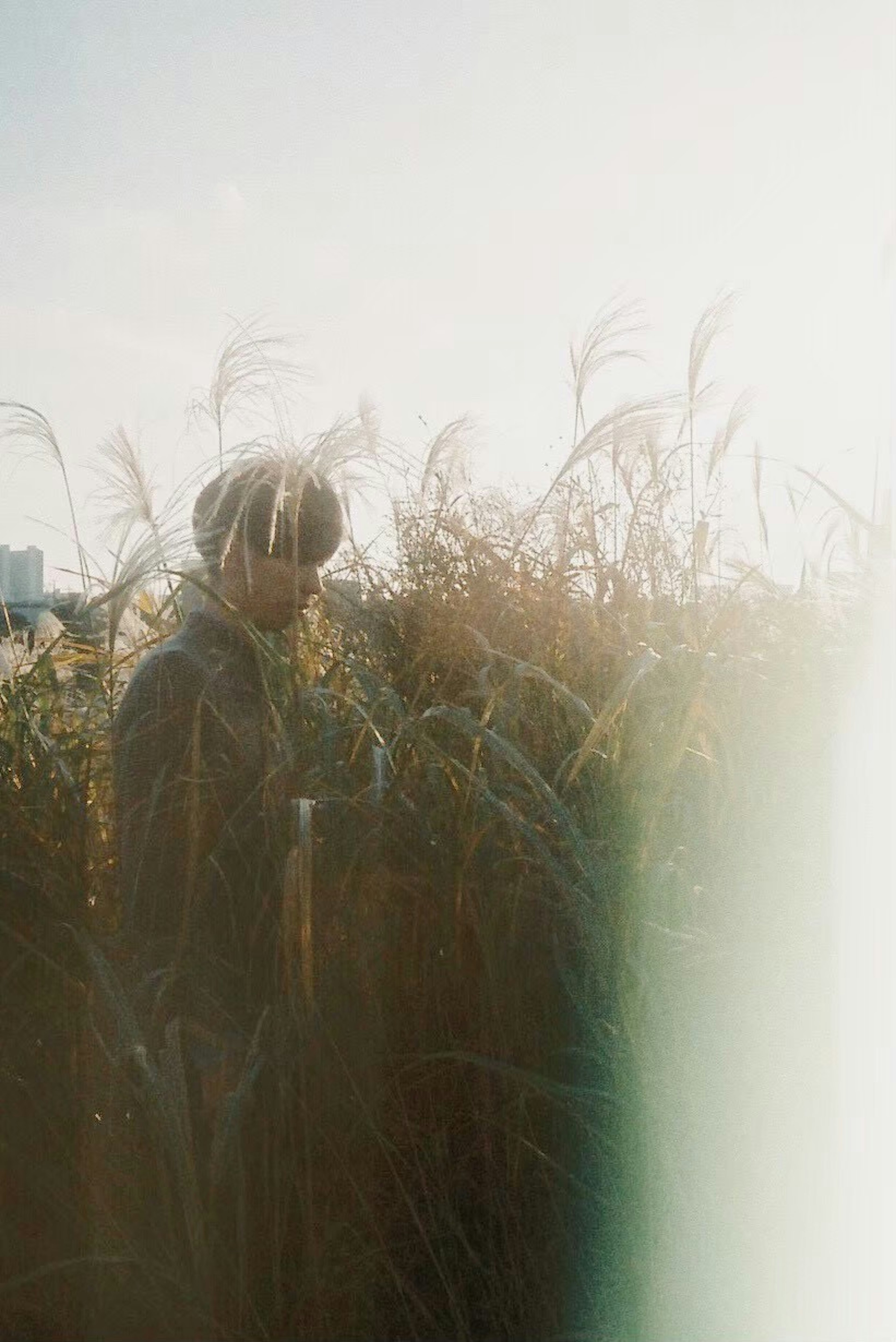 Person steht in einem grasbewachsenen Feld mit sonnigem Hintergrund