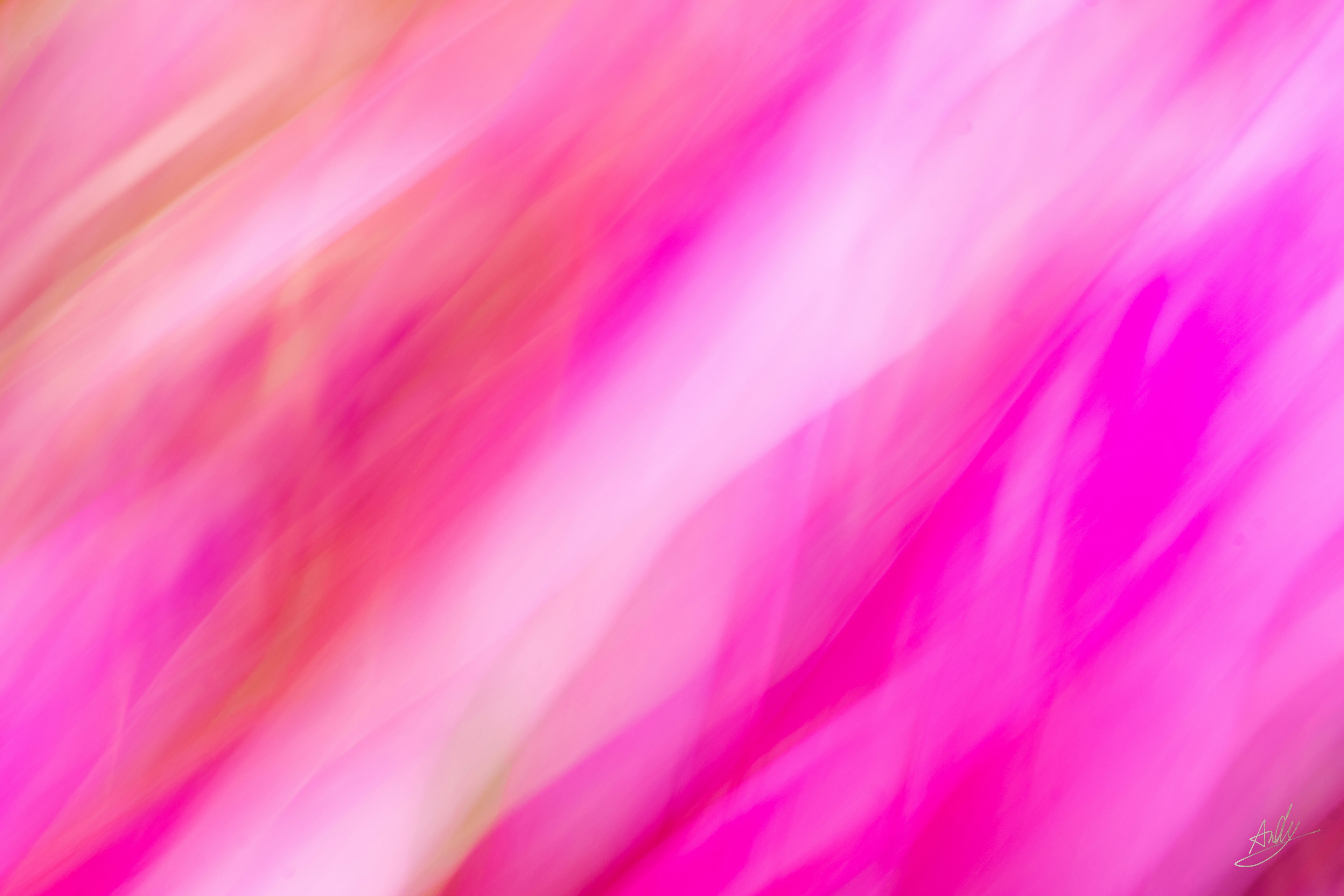 Vibrant pink abstract background with flowing patterns