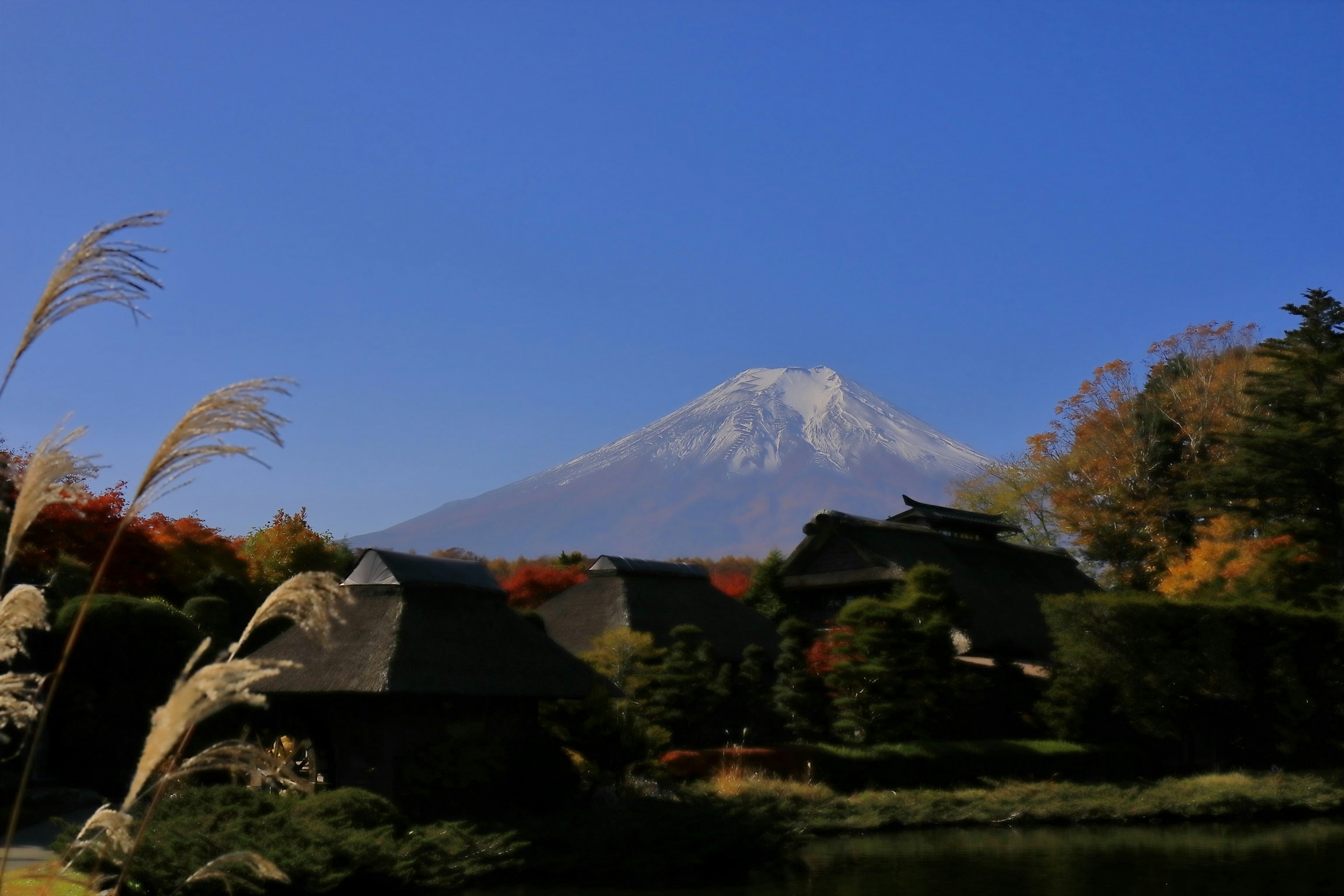 富士山的風景，背景是秋天的樹葉和傳統日本房屋