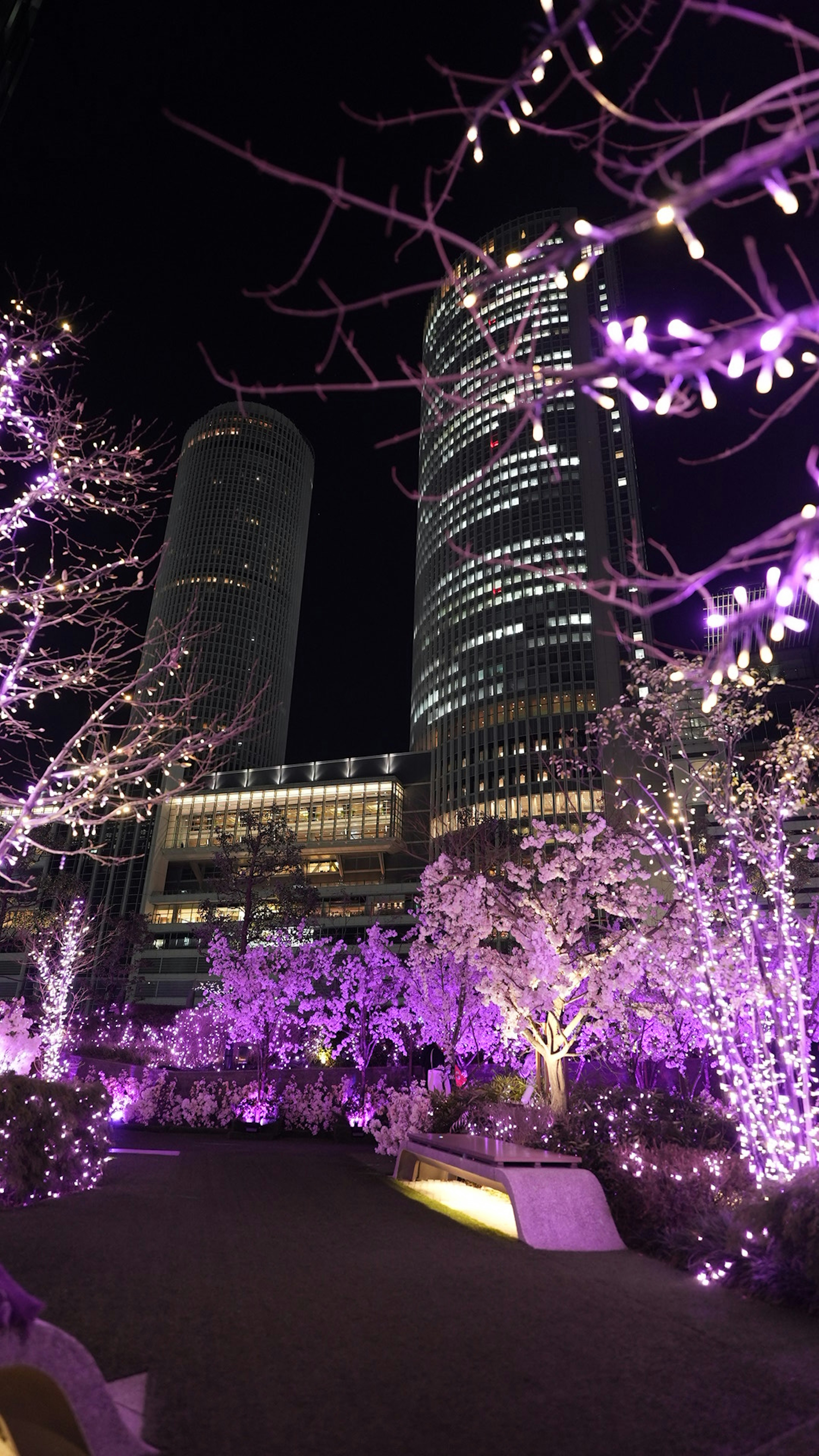 Paisaje urbano iluminado en púrpura por la noche con rascacielos y árboles en flor