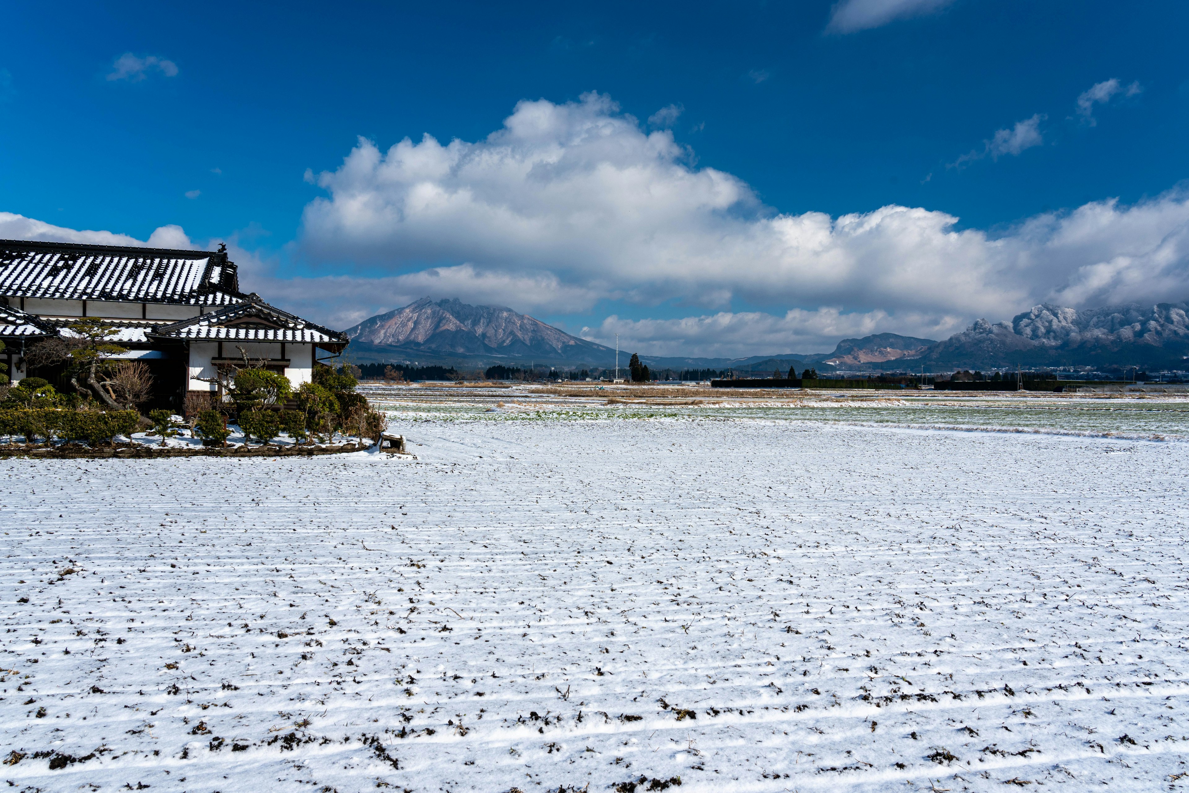 Japanese landscape featuring snow-covered rice fields and mountains in the background