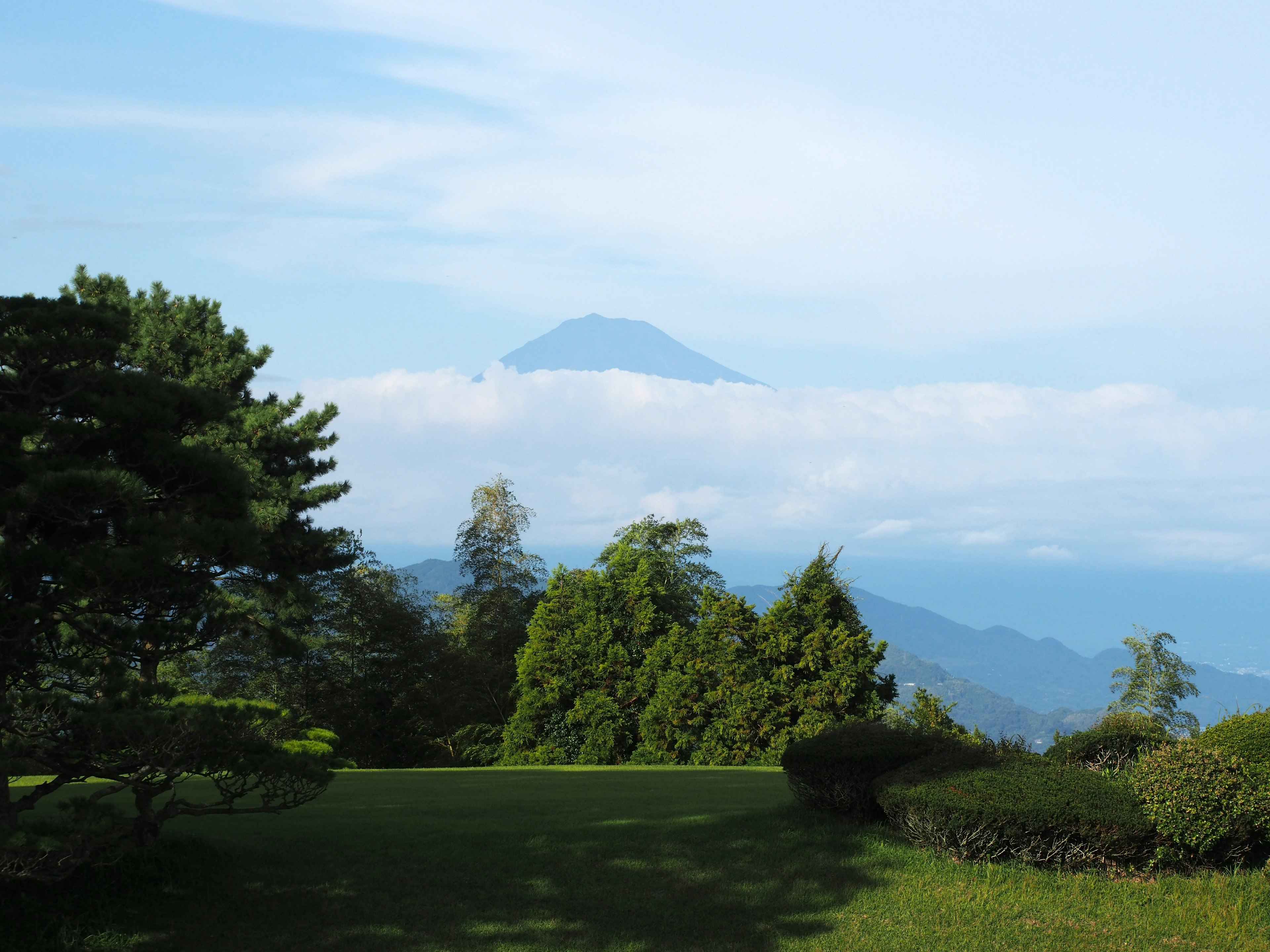 郁郁葱葱的风景，背景有山和云