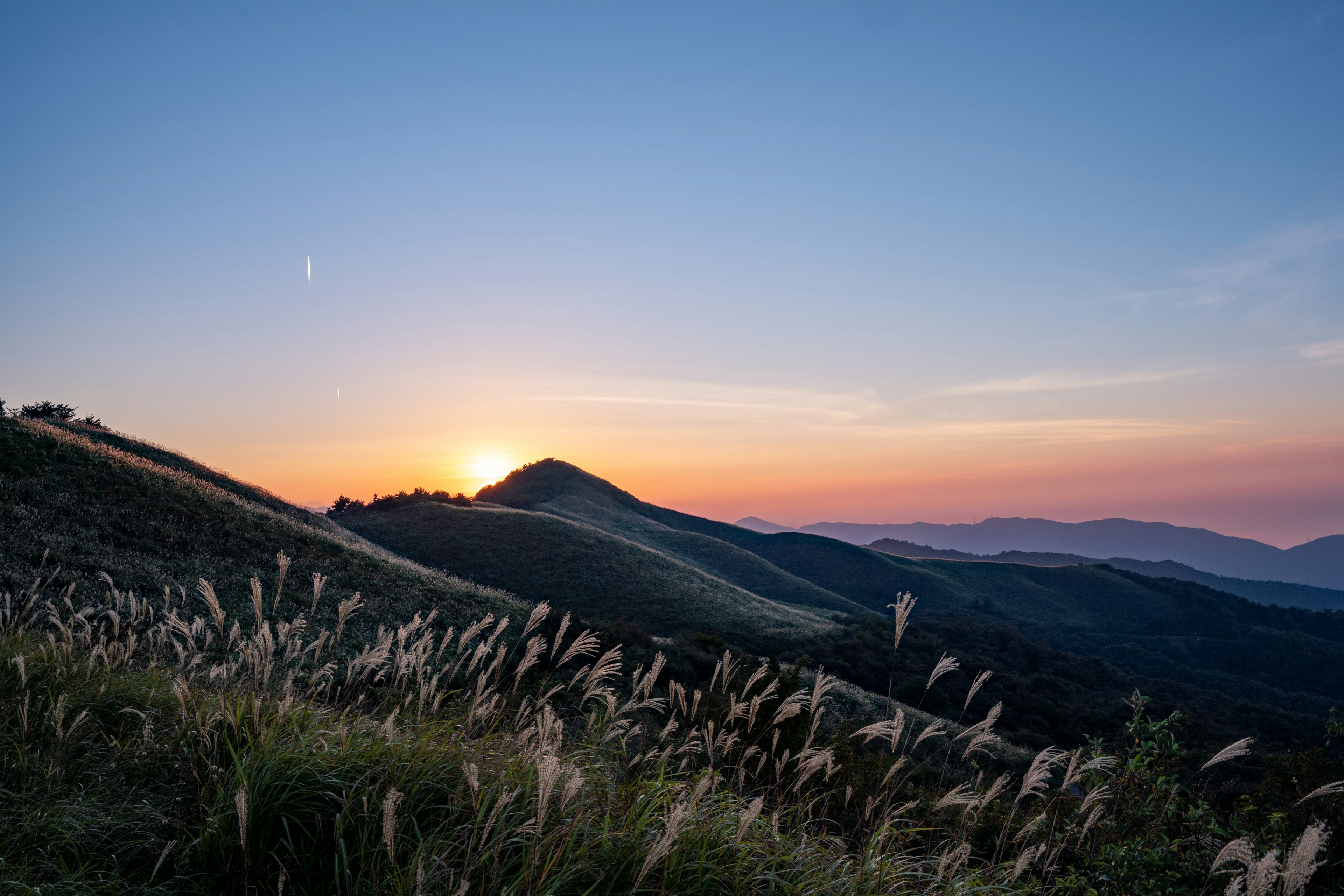 Coucher de soleil sur des collines ondulantes avec de l'herbe au premier plan