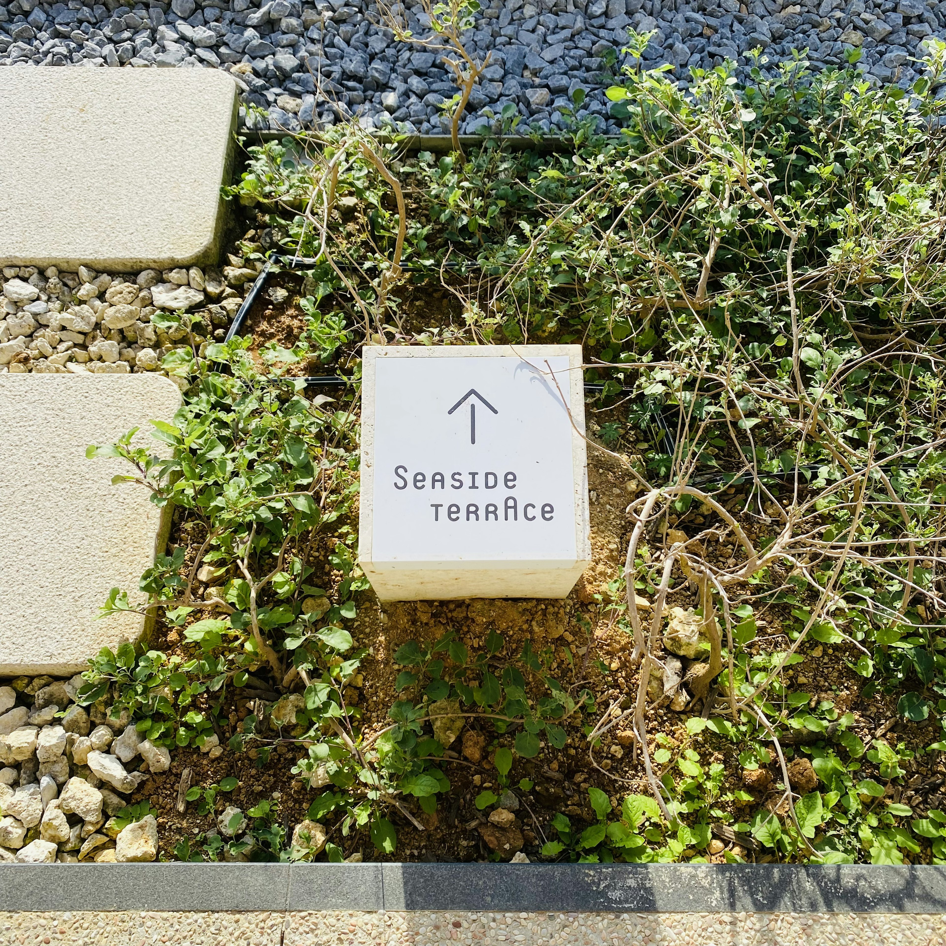 Ein weißes Schild umgeben von grünen Pflanzen mit einem nach oben zeigenden Pfeil, der 'Sensory Terrace' anzeigt