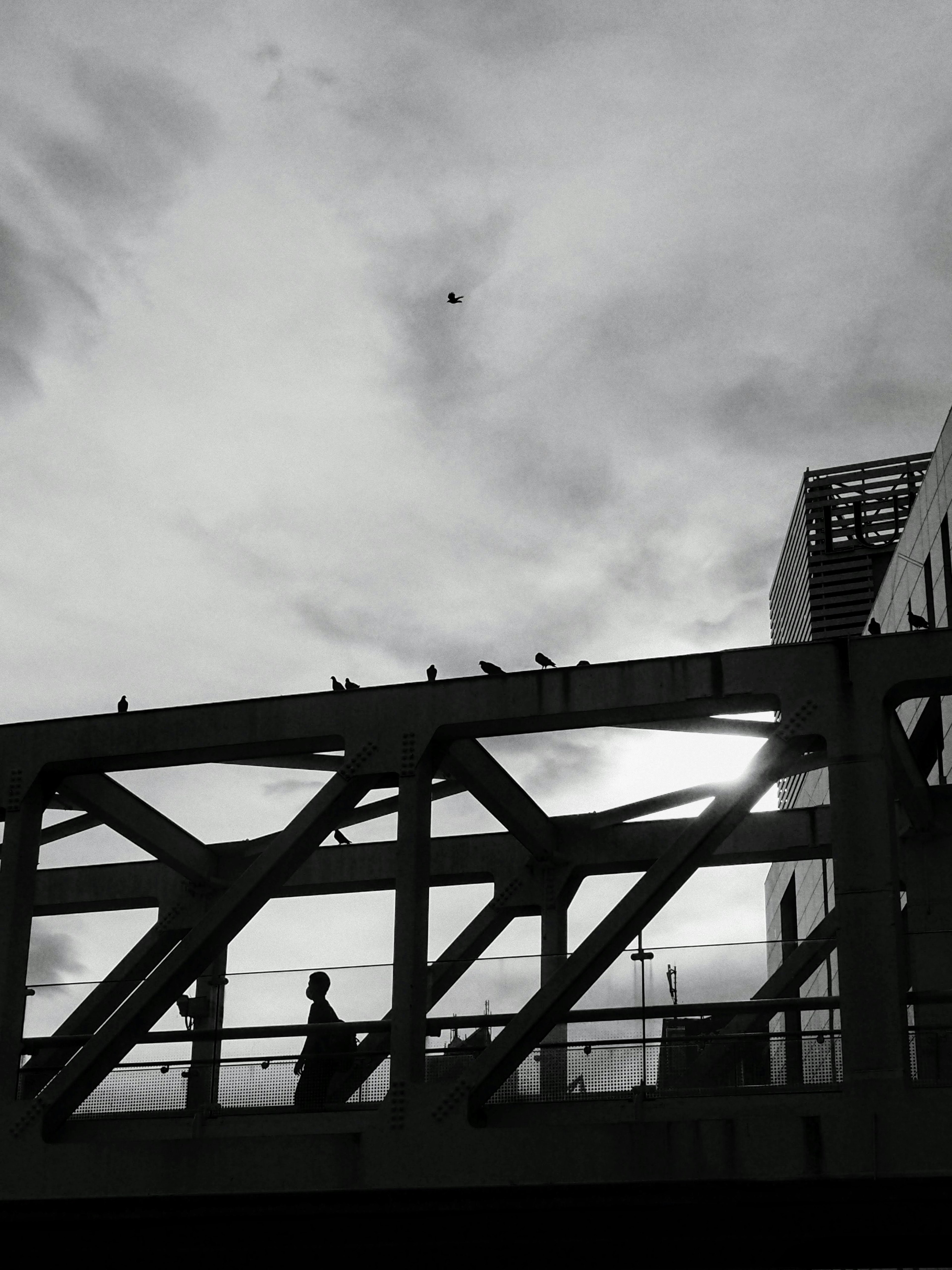 Silhouette of a person on a bridge with birds perched above