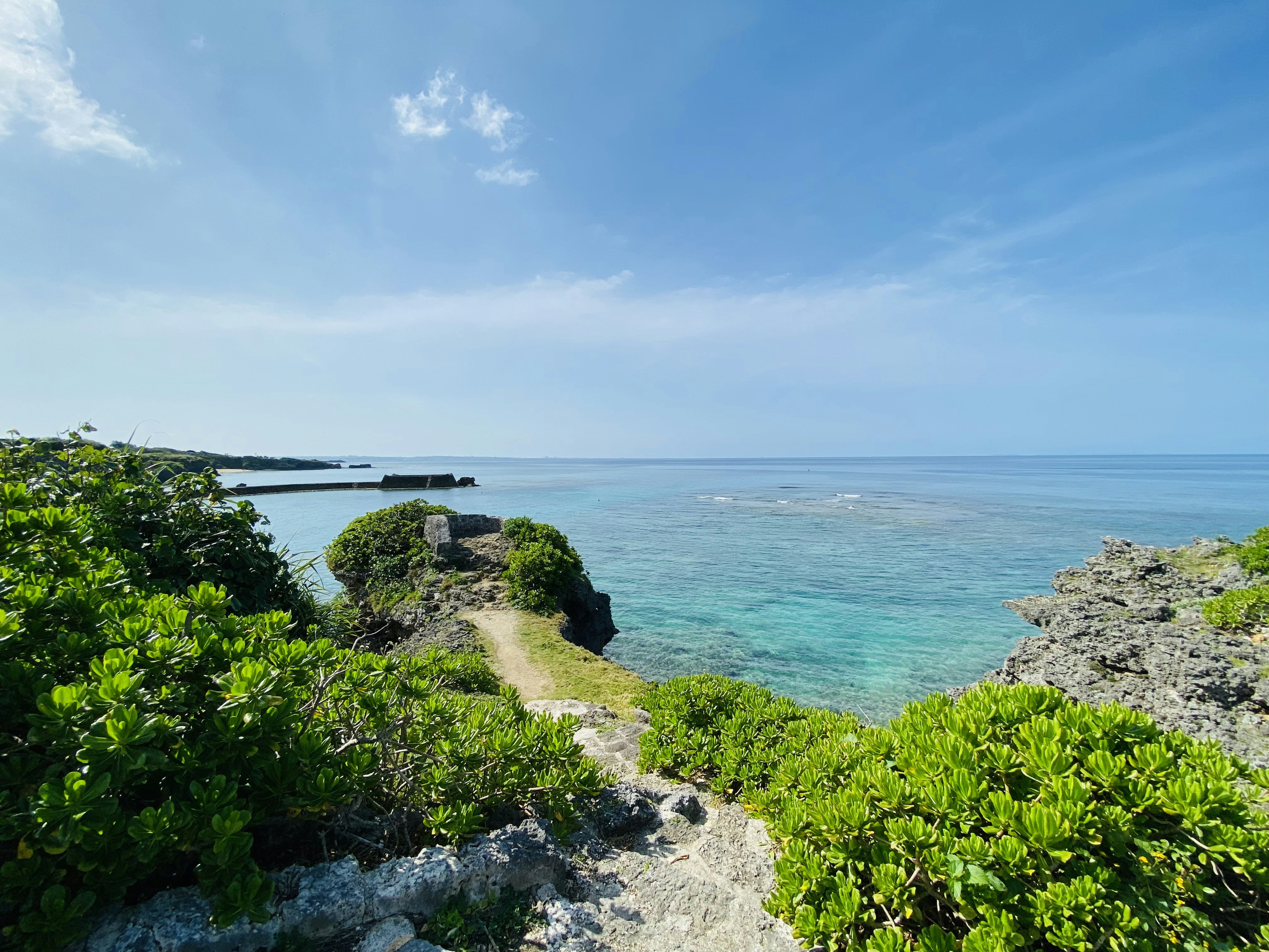 Vue pittoresque de l'océan bleu et des plantes vertes luxuriantes avec un chemin