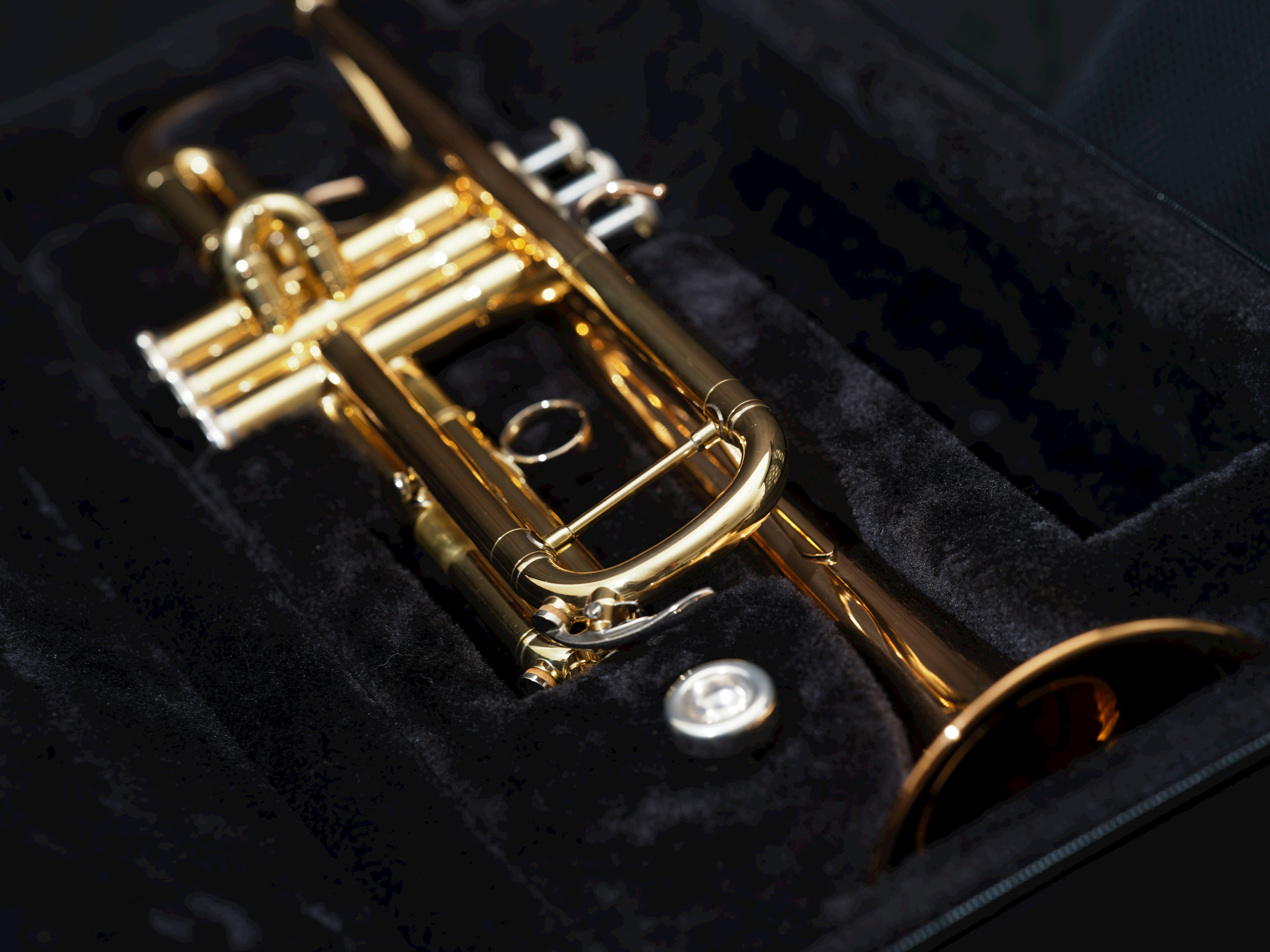 A golden trumpet resting in a black velvet case