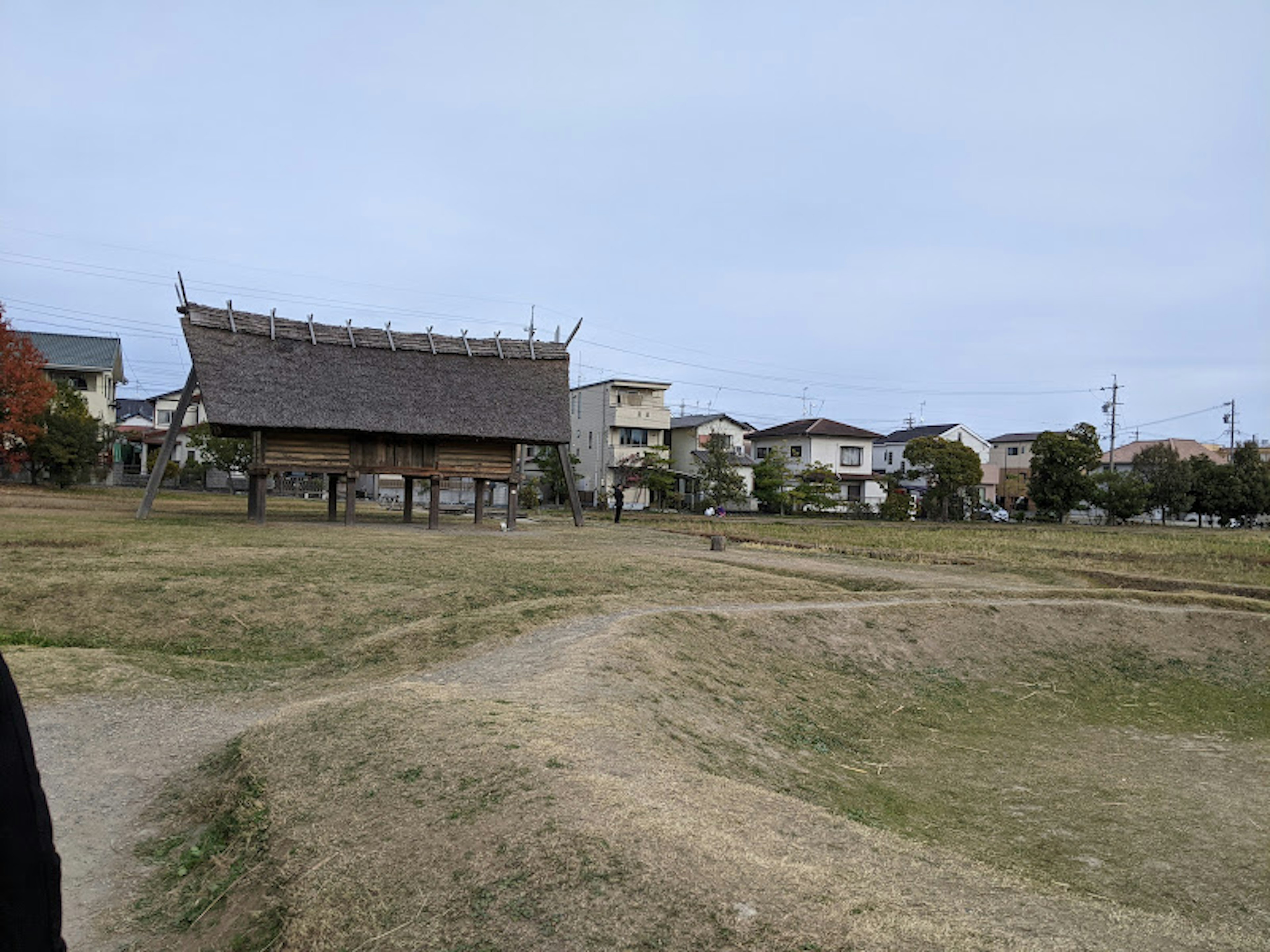 Edificio japonés tradicional en un parque espacioso con casas residenciales