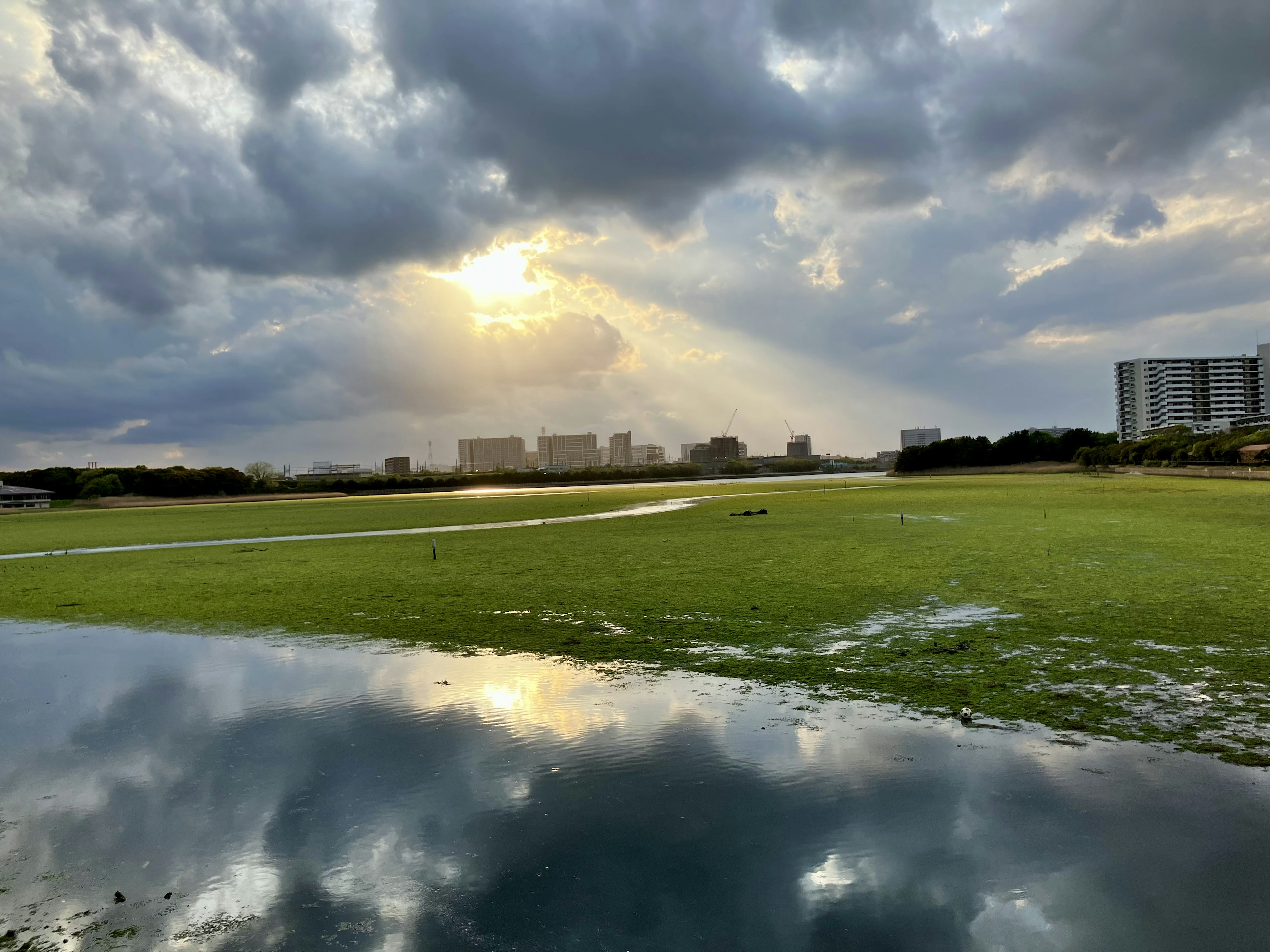 Malersicher Blick auf ein grünes Grasfeld mit Reflexionen im Wasser unter einem bewölkten Himmel