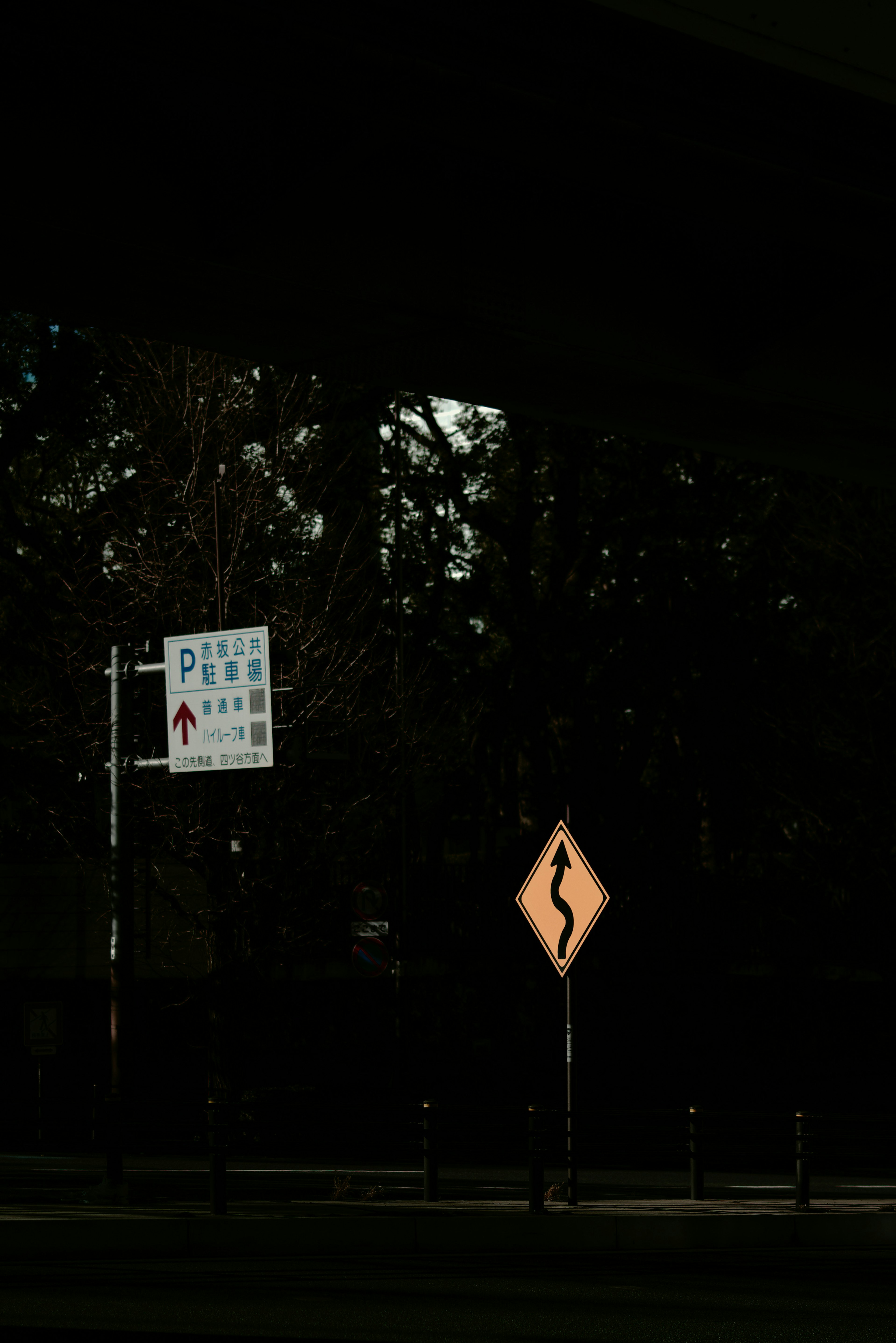 Eine Landschaft mit einem gewundenen Straßenschild und einem Pfeilschild vor dunklem Hintergrund