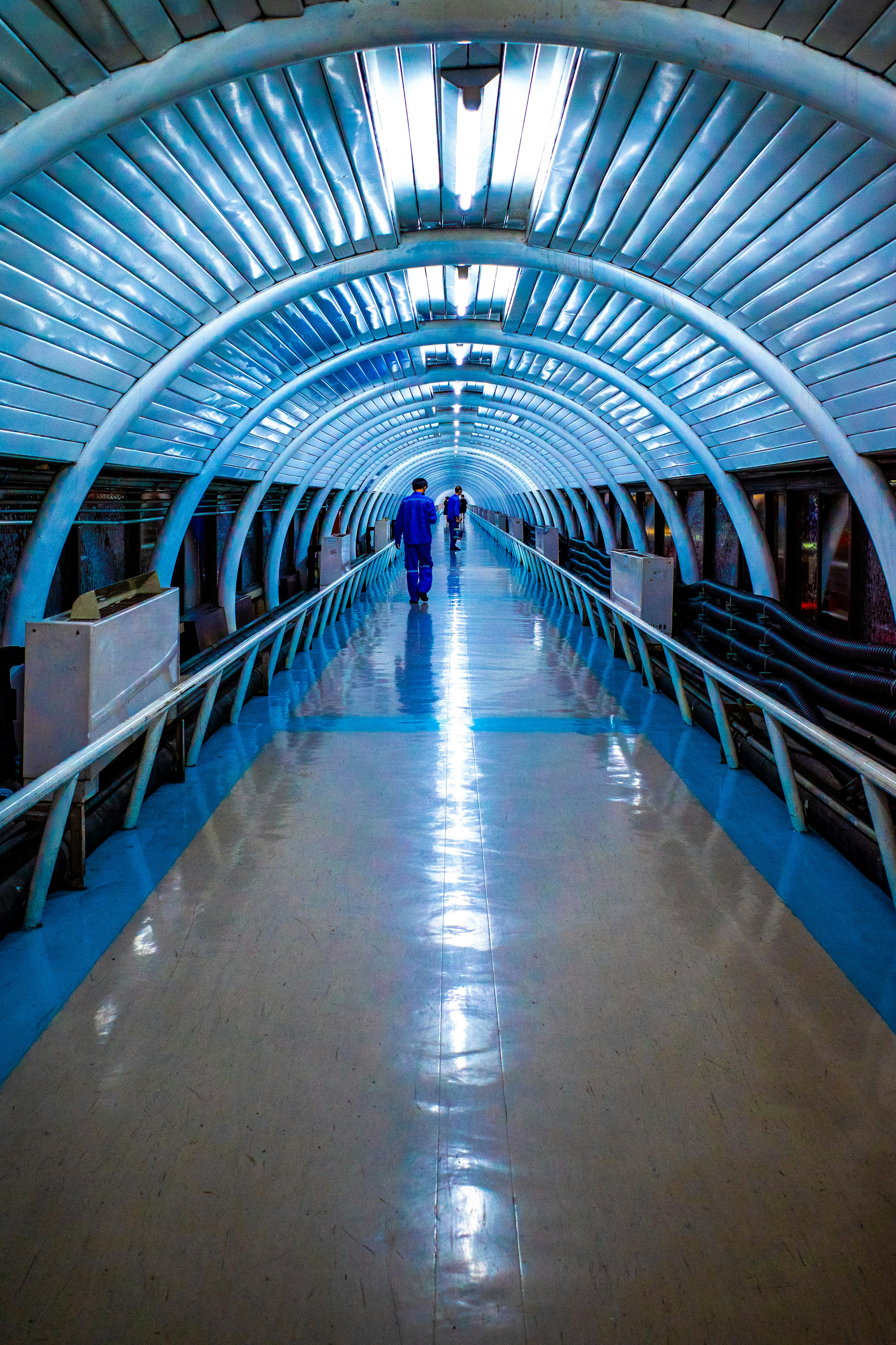 Persone che camminano in un corridoio a forma di tunnel blu